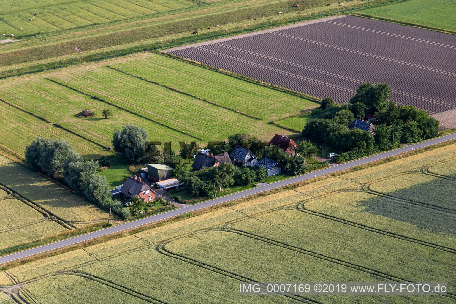 Luftbild von Ehemalige Deichwärterhöfe an der Schülpersieler Straße in Wesselburenerkoog im Bundesland Schleswig-Holstein, Deutschland