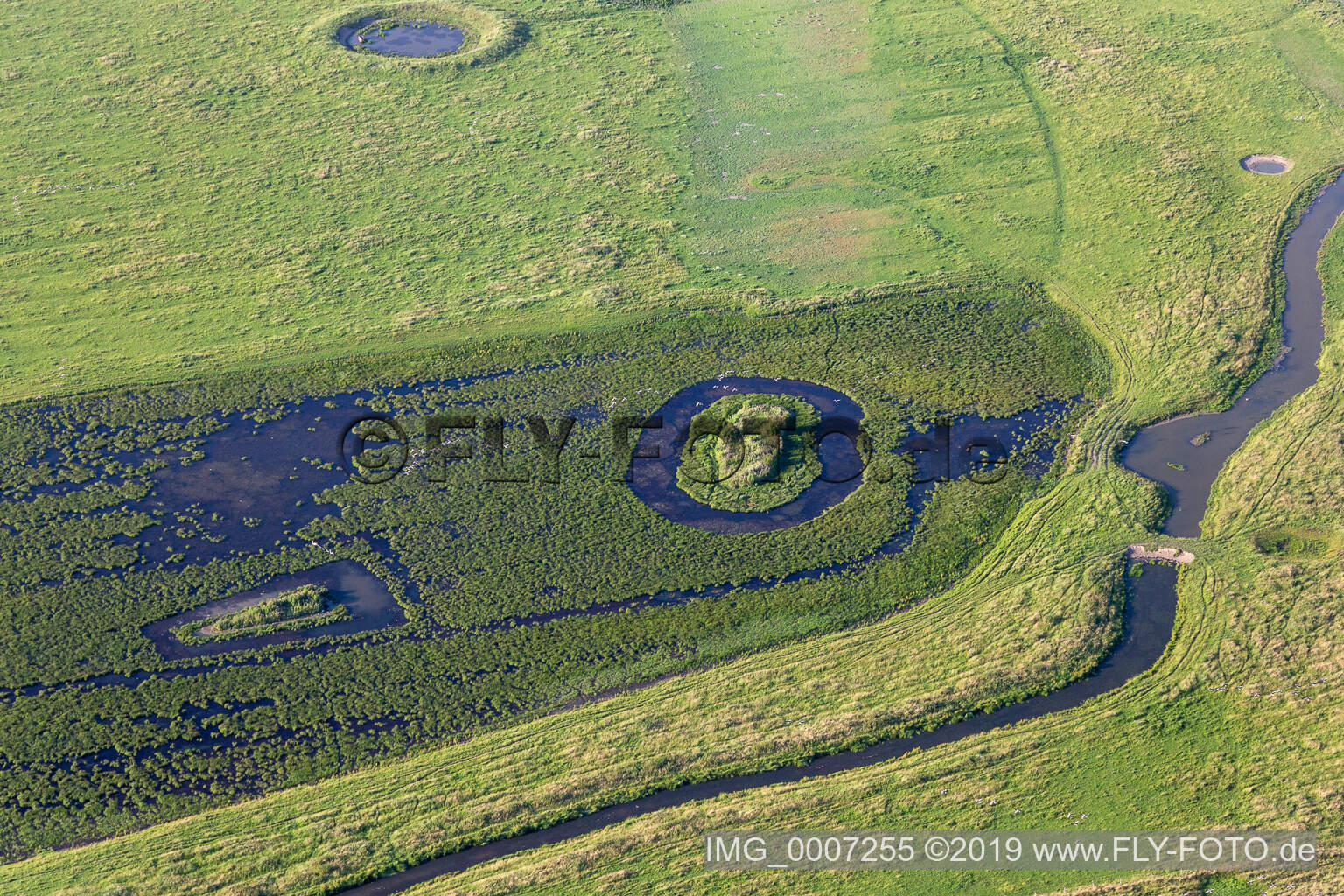 Luftaufnahme von Naturschutzgebiet Oldensworter Vorland an der Eider im Bundesland Schleswig-Holstein, Deutschland