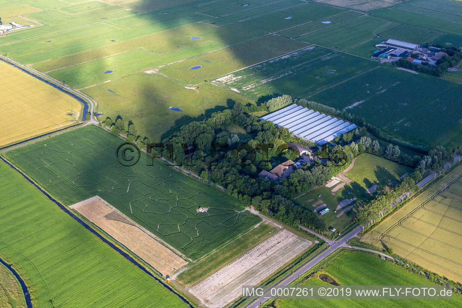 Luftbild von Maislabyrinth Kühl in Garding im Bundesland Schleswig-Holstein, Deutschland