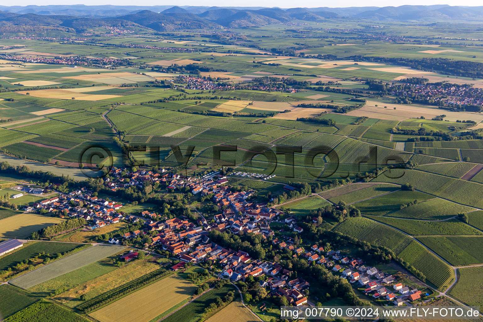 Dorf - Ansicht am Rande von landwirtschaftlichen Feldern und Nutzflächen in Dierbach im Bundesland Rheinland-Pfalz, Deutschland