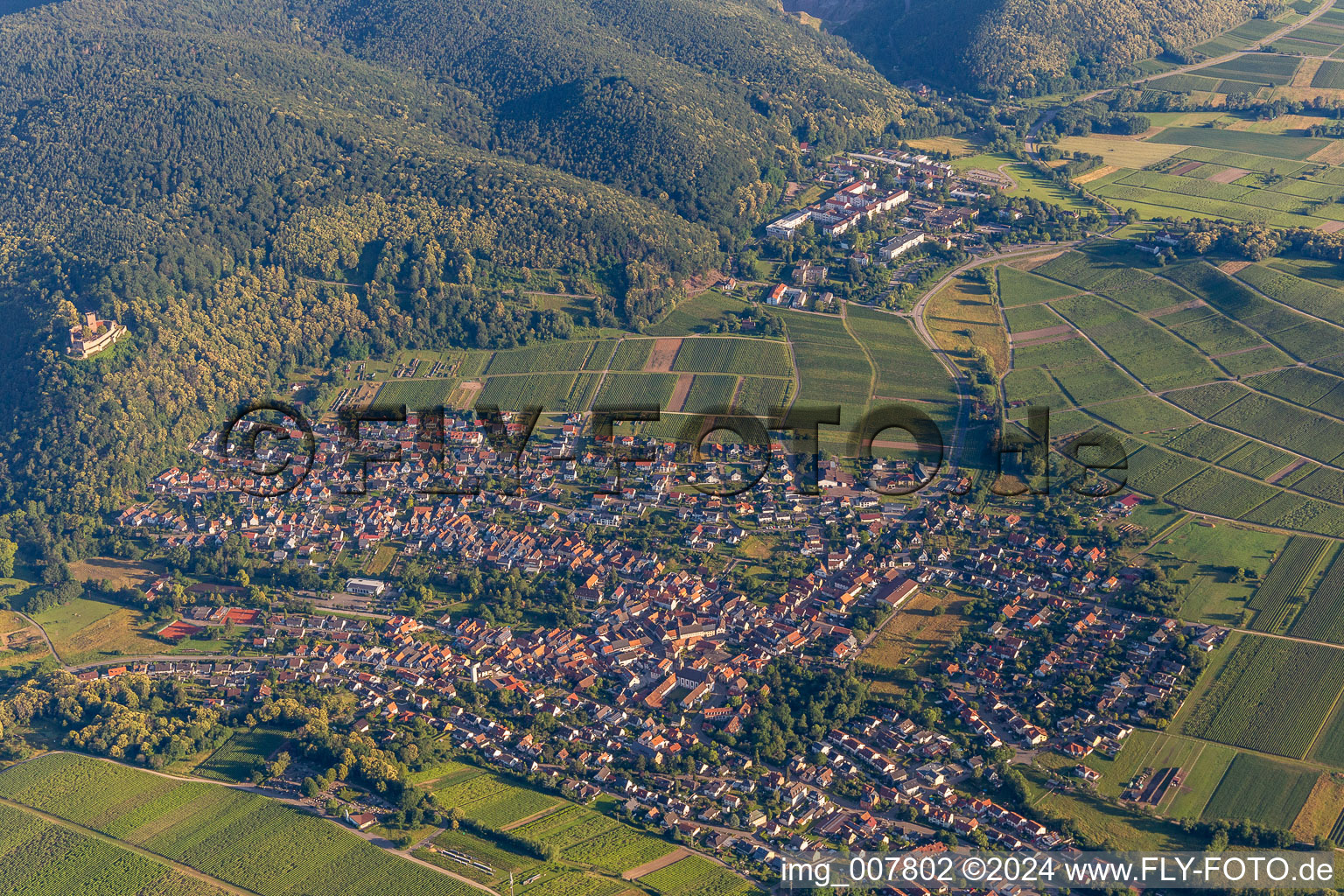 Luftbild von Klingenmünster im Bundesland Rheinland-Pfalz, Deutschland