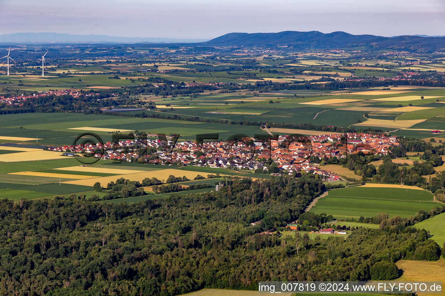 Dorf - Ansicht in Steinweiler im Bundesland Rheinland-Pfalz, Deutschland