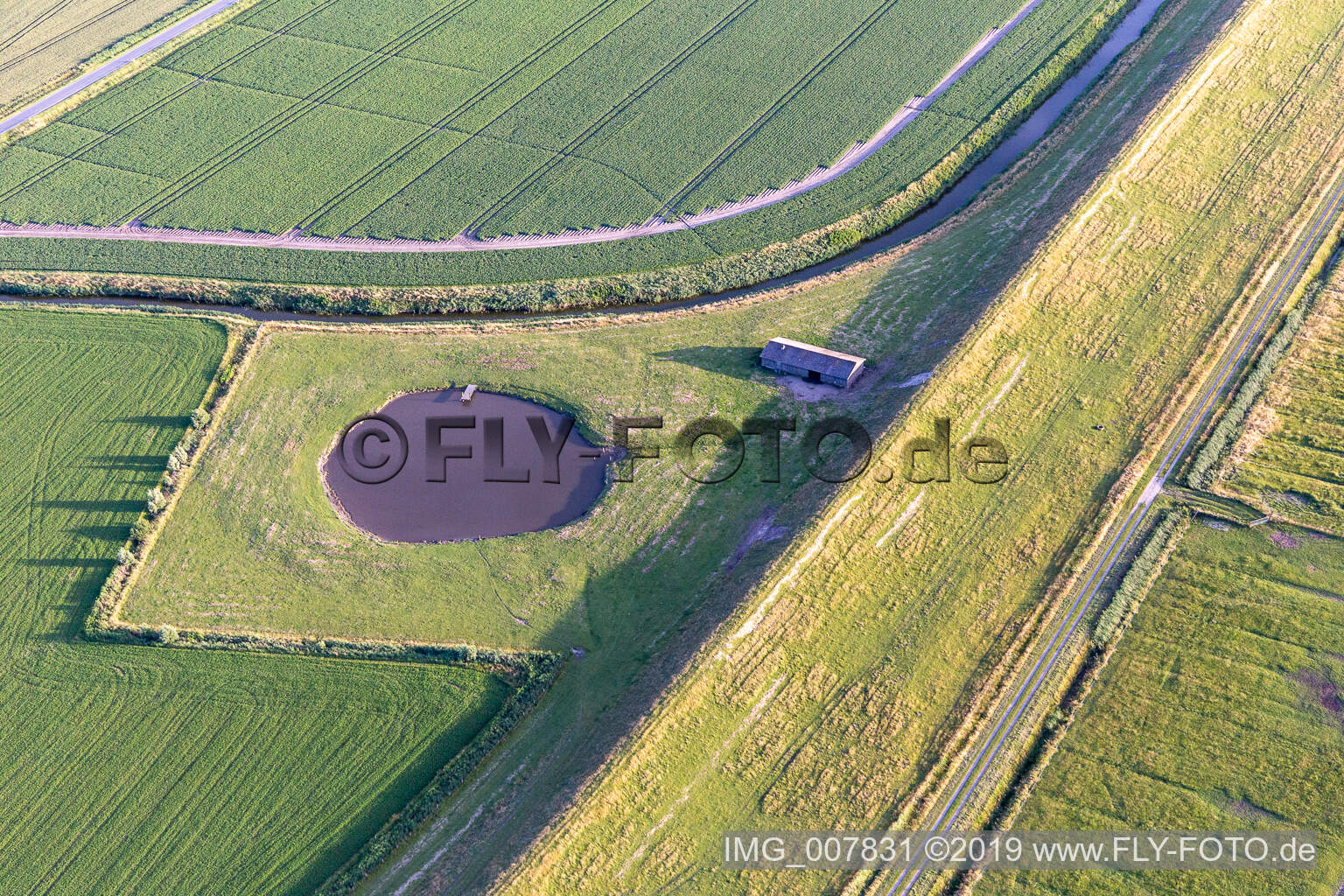 Luftaufnahme von Dithmarscher Eidervorland in Wesselburenerkoog im Bundesland Schleswig-Holstein, Deutschland