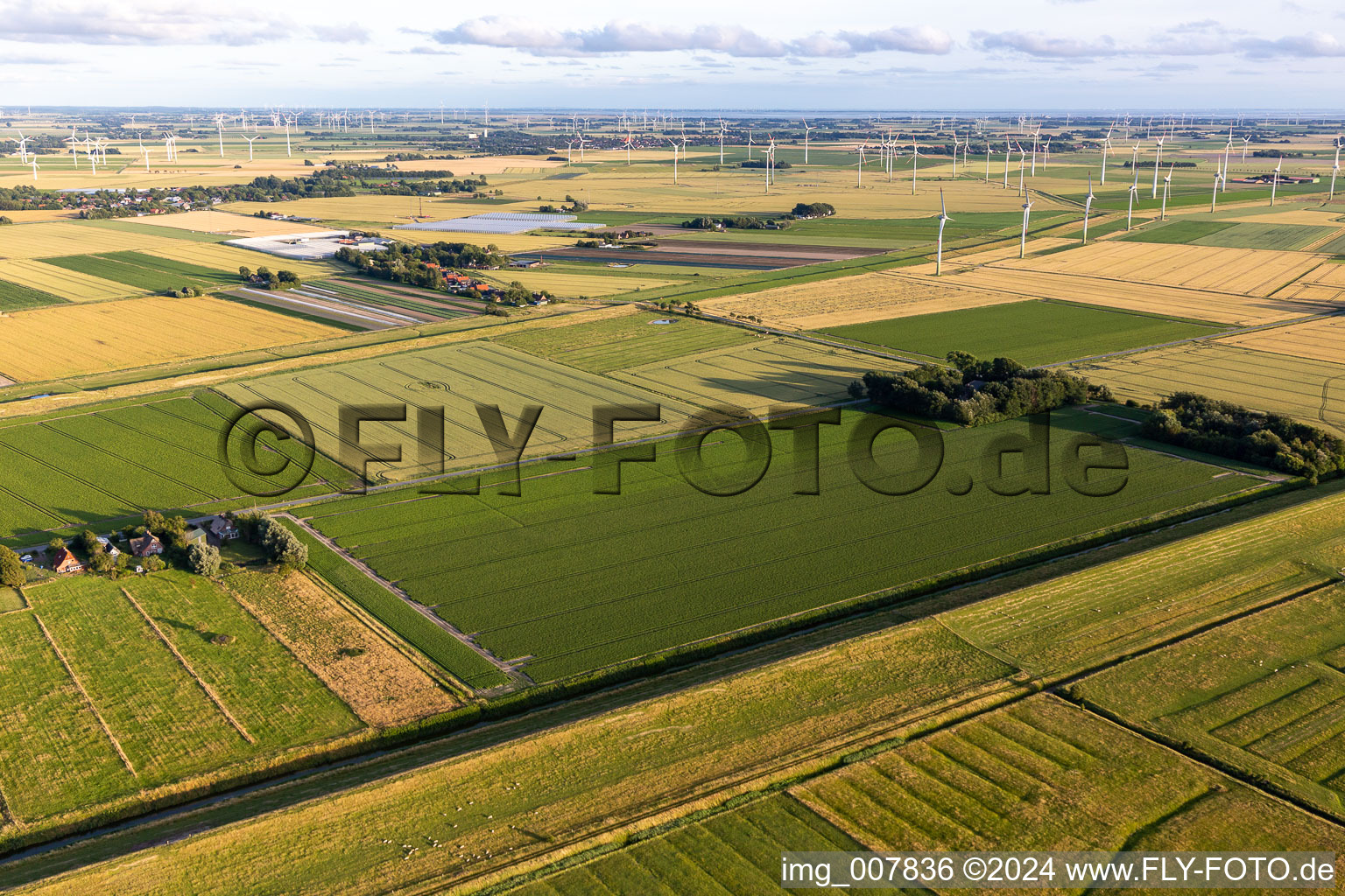 Windenergieanlagen ( WEA ) - Windrad- auf einem Feld in Schülp im Bundesland Schleswig-Holstein, Deutschland