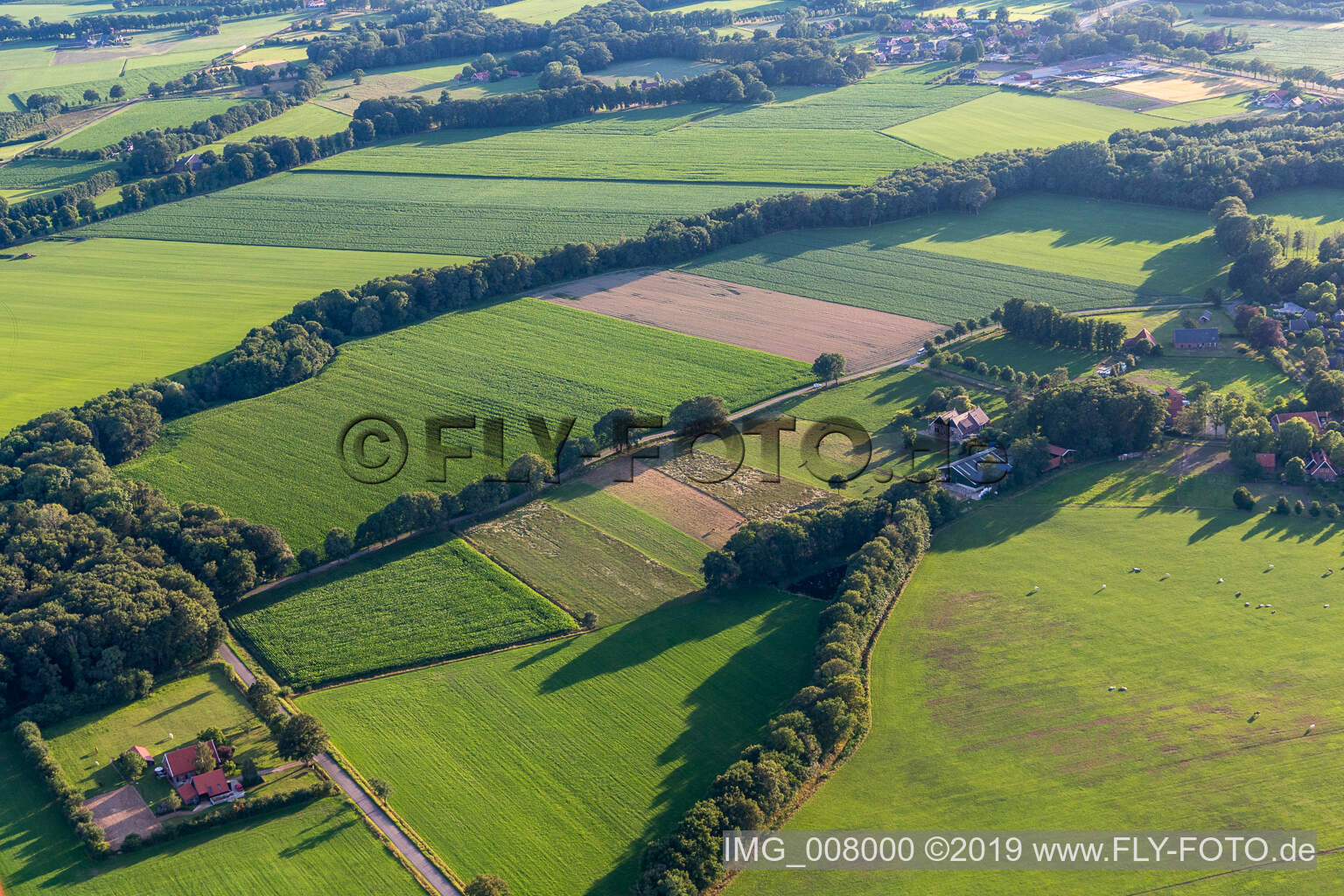 Luftbild von Winterswijk Miste im Bundesland Gelderland, Niederlande