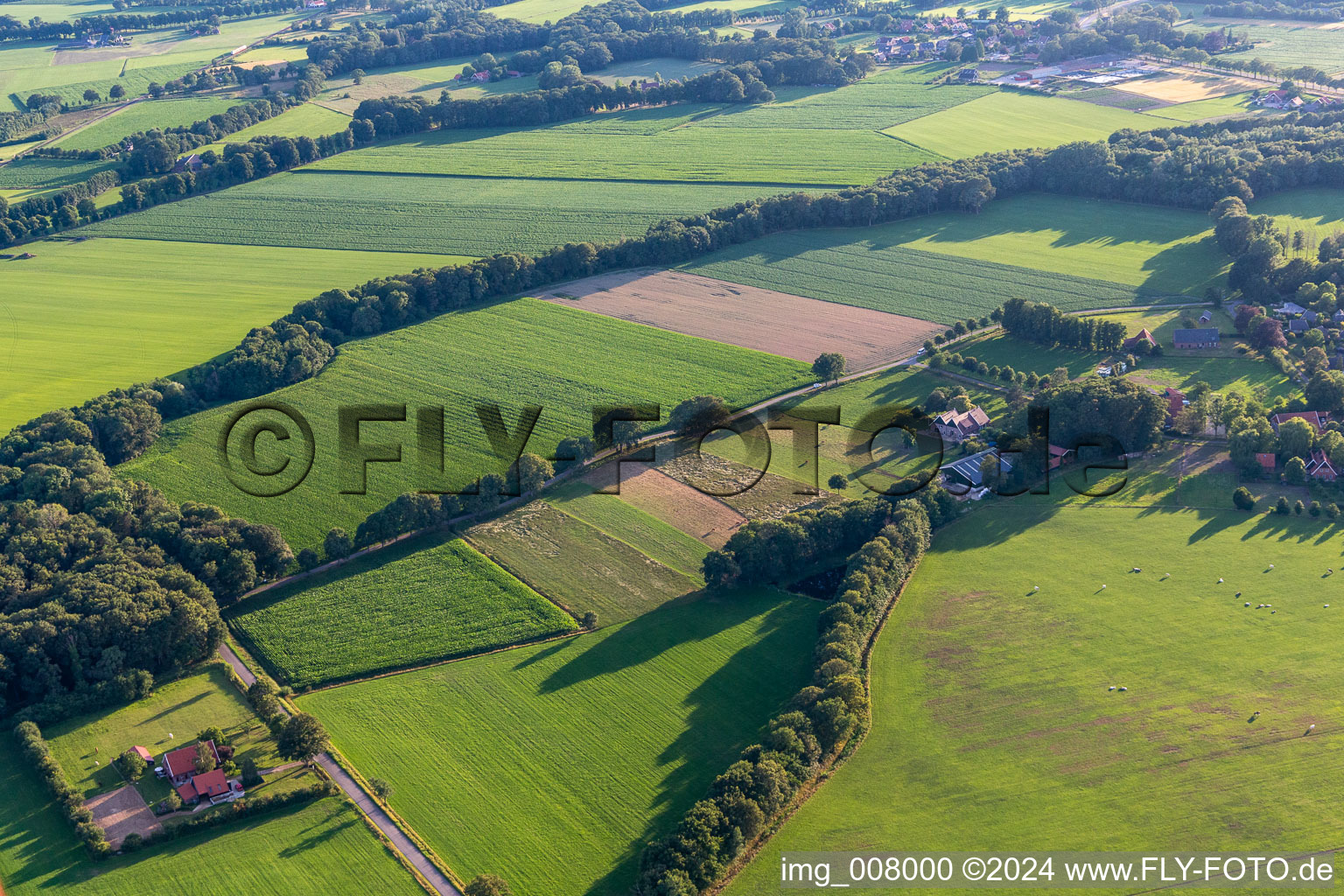 Luftbild von Winterswijk Miste im Bundesland Gelderland, Niederlande