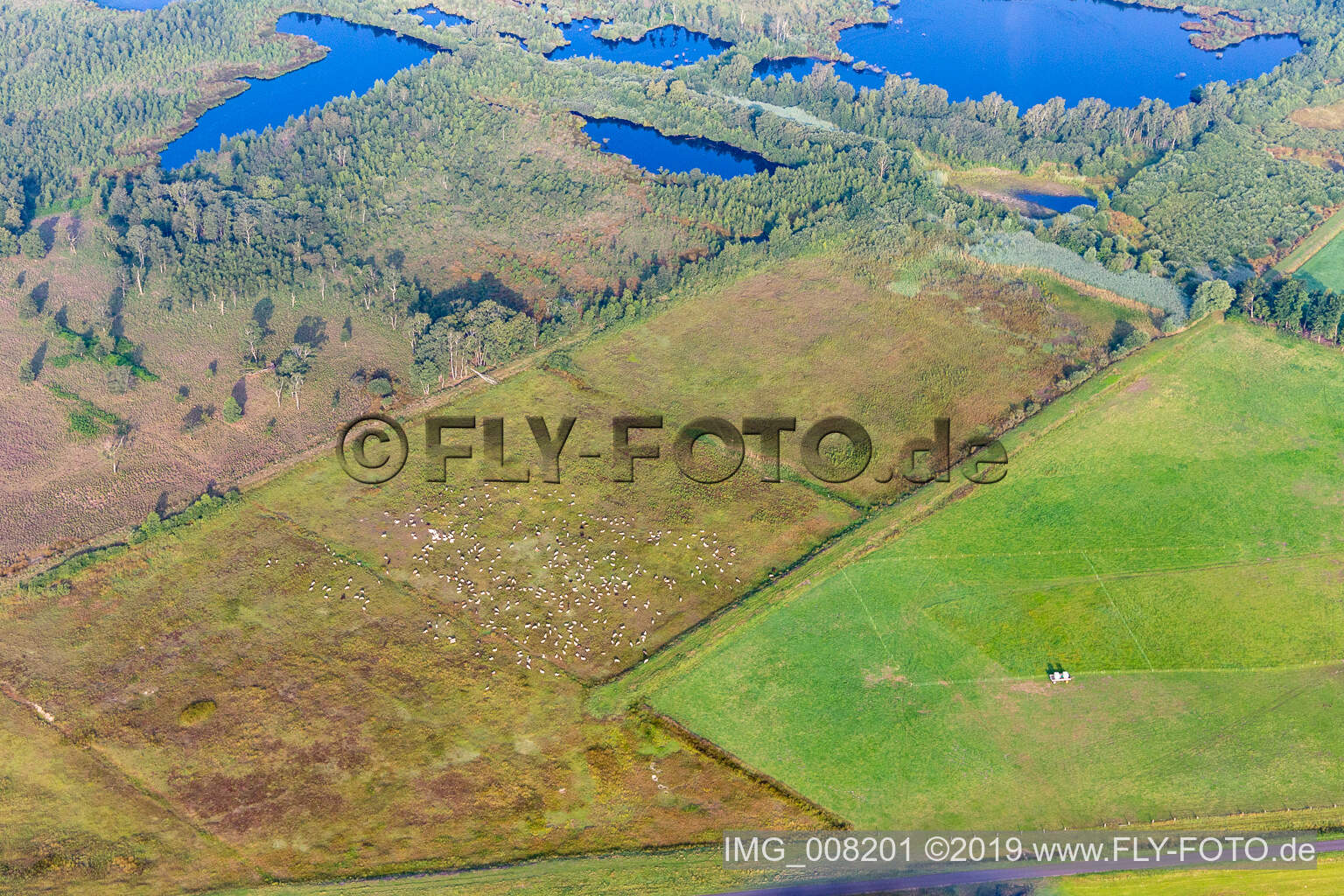 Luftbild von Haaksbergen im Bundesland Overijssel, Niederlande