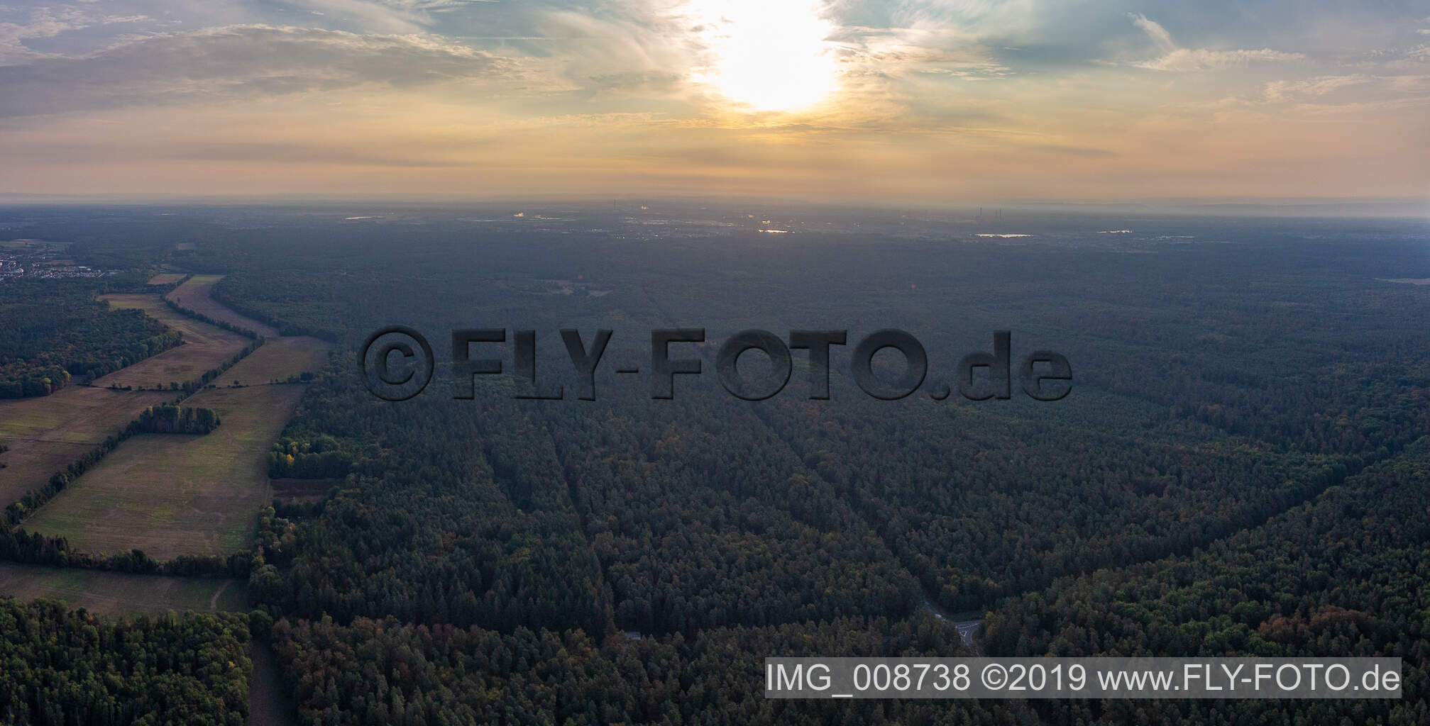 Sonnenaufgang über dem Bienwald am Otterbachtal in Minfeld im Bundesland Rheinland-Pfalz, Deutschland
