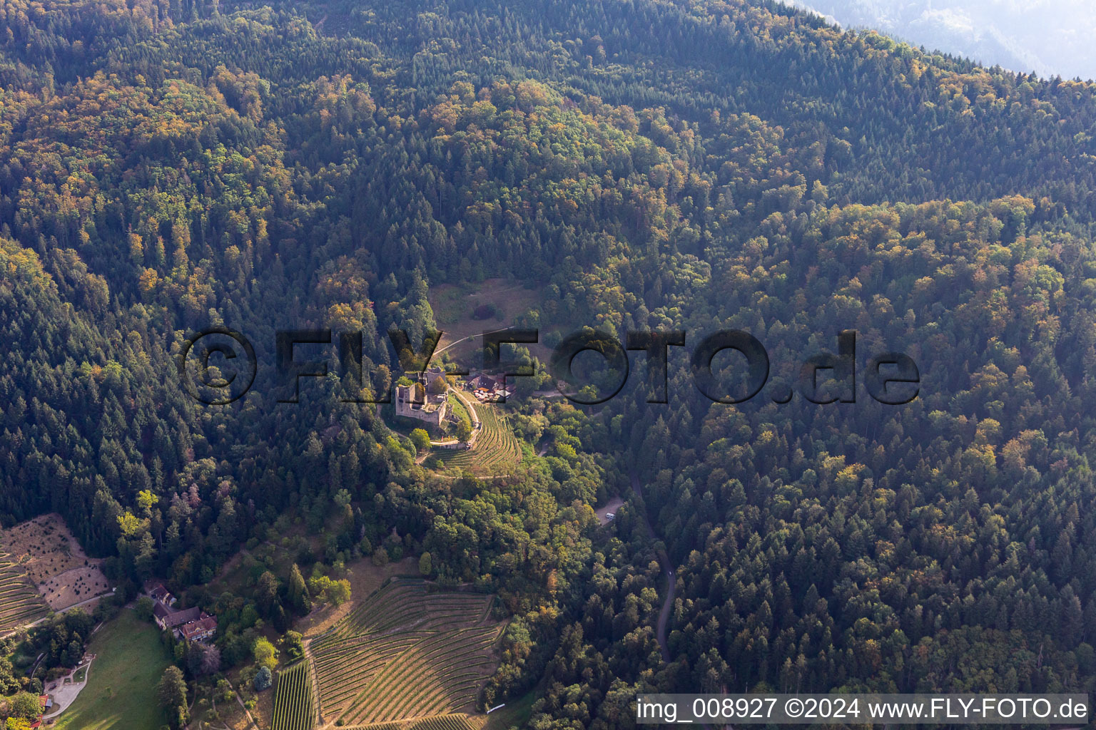 Luftaufnahme von Ruine und Mauerreste der ehemaligen Burganlage Schauenburg in Oberkirch im Ortsteil Wolfhag im Bundesland Baden-Württemberg, Deutschland