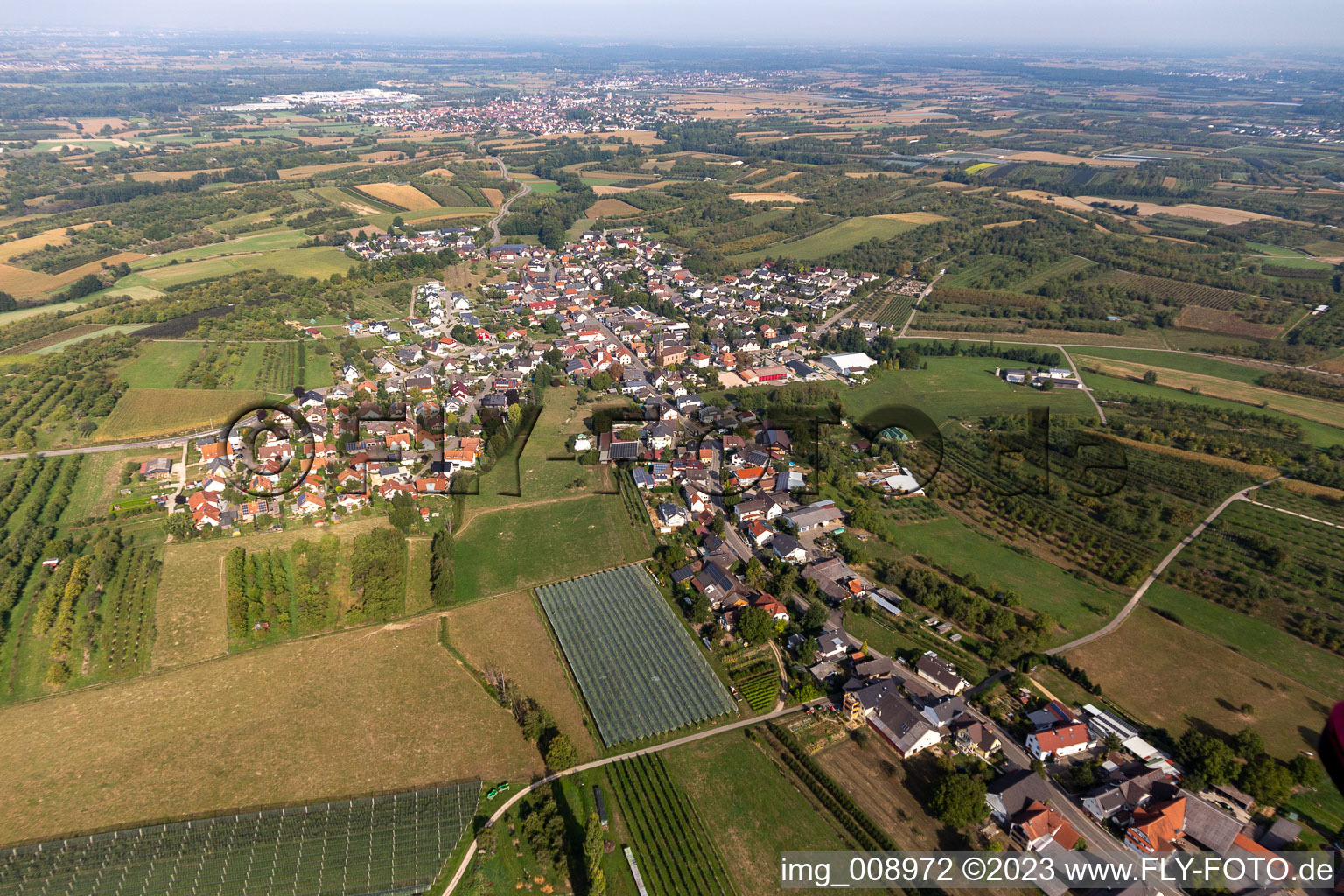 Luftbild von Ortsteil Nesselried in Appenweier im Bundesland Baden-Württemberg, Deutschland