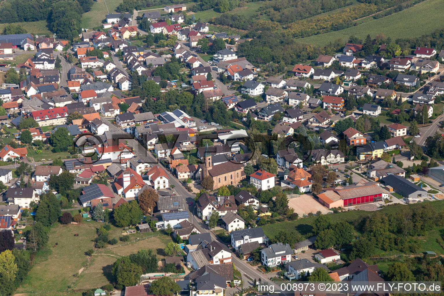 Luftaufnahme von Ortsteil Nesselried in Appenweier im Bundesland Baden-Württemberg, Deutschland