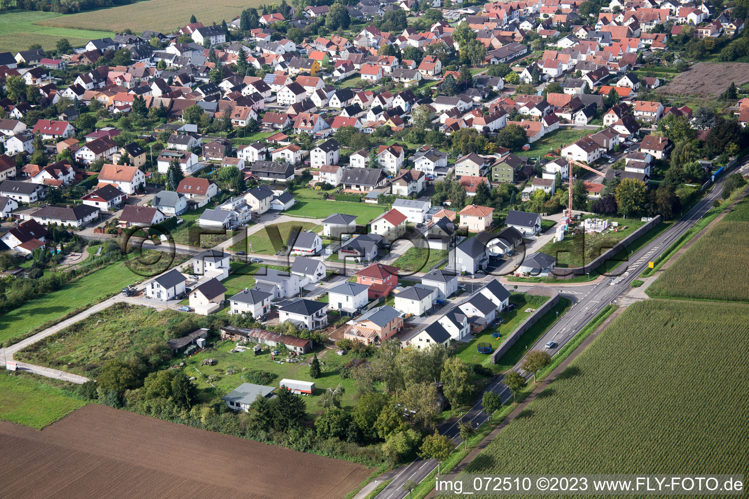Luftbild von Minfeld, Neubaugebiet West im Bundesland Rheinland-Pfalz, Deutschland