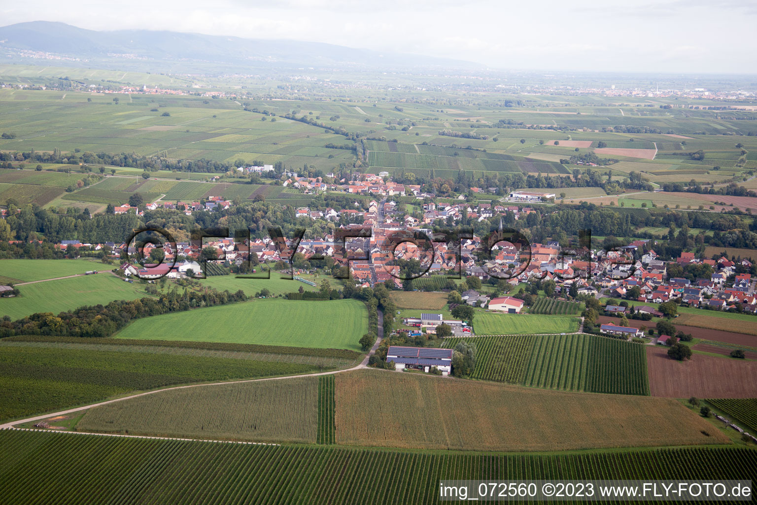 Ortsteil Ingenheim in Billigheim-Ingenheim im Bundesland Rheinland-Pfalz, Deutschland
