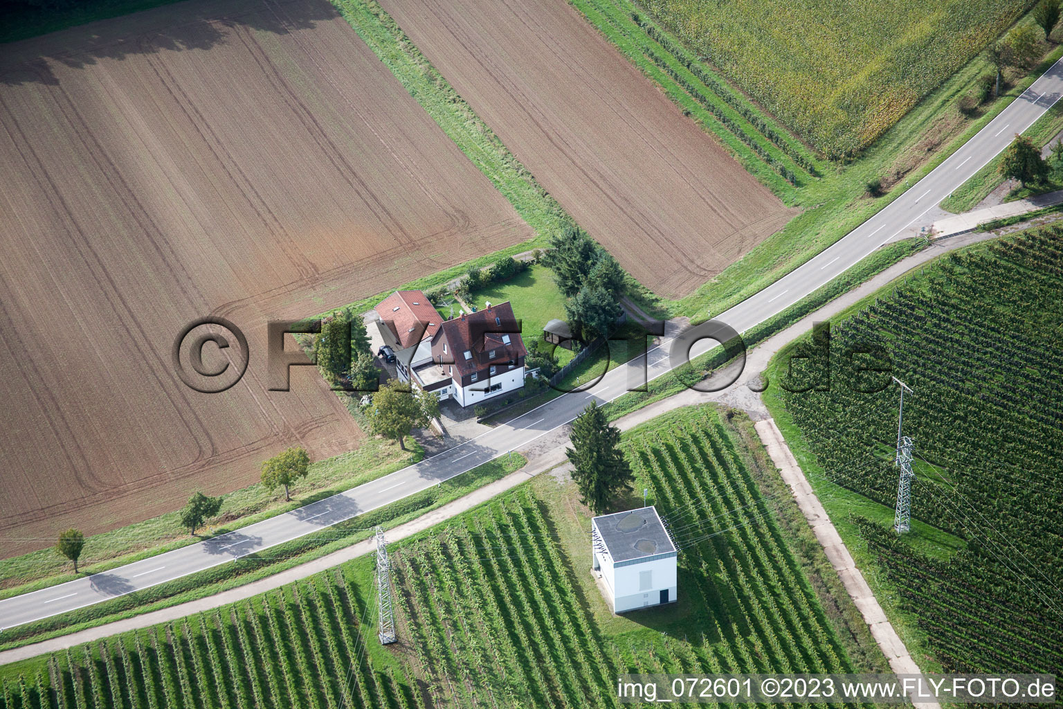 Luftbild von Waldstraße im Ortsteil Heuchelheim in Heuchelheim-Klingen im Bundesland Rheinland-Pfalz, Deutschland