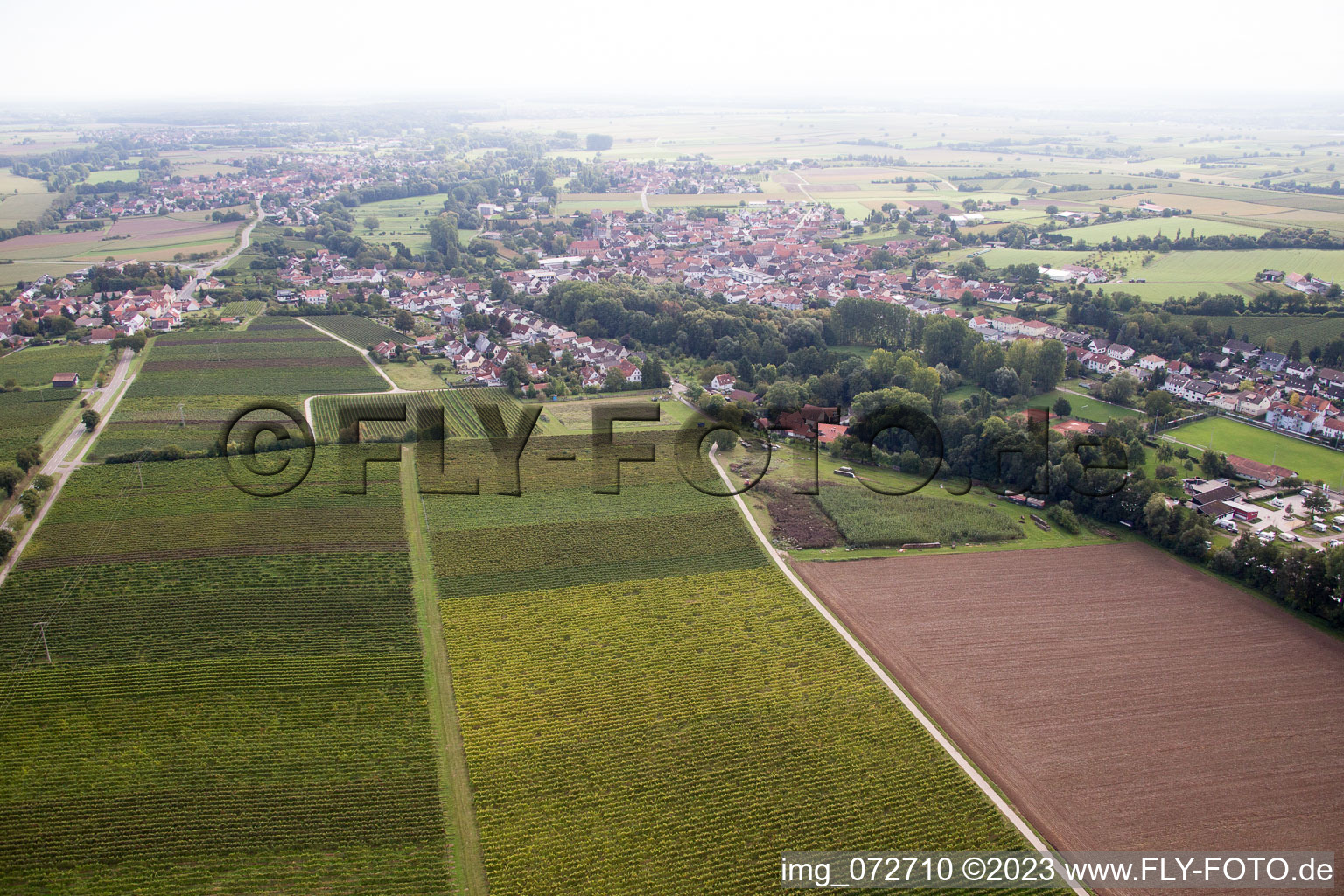 Ortsteil Ingenheim in Billigheim-Ingenheim im Bundesland Rheinland-Pfalz, Deutschland aus der Luft