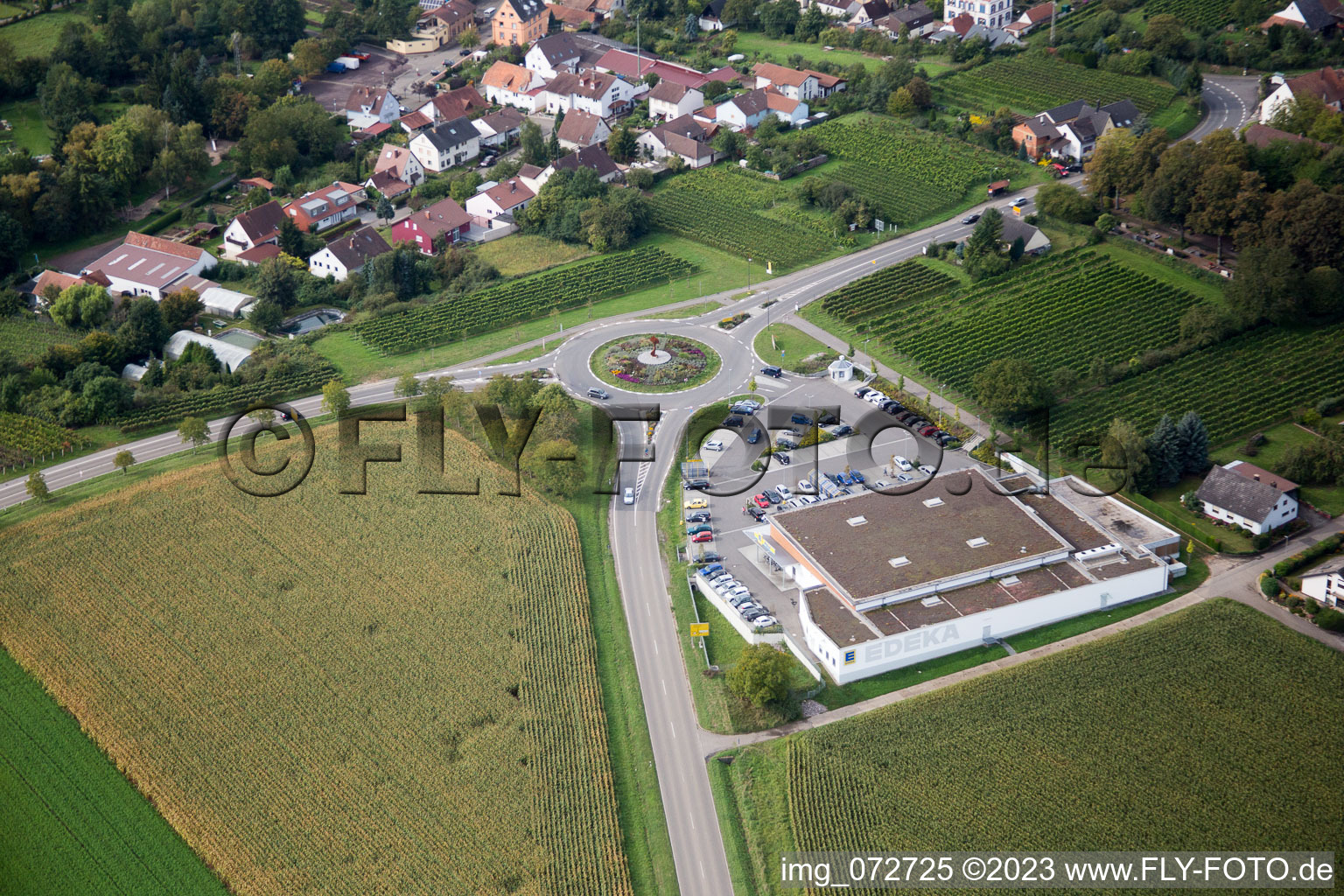 Ortsteil Appenhofen in Billigheim-Ingenheim im Bundesland Rheinland-Pfalz, Deutschland aus der Luft