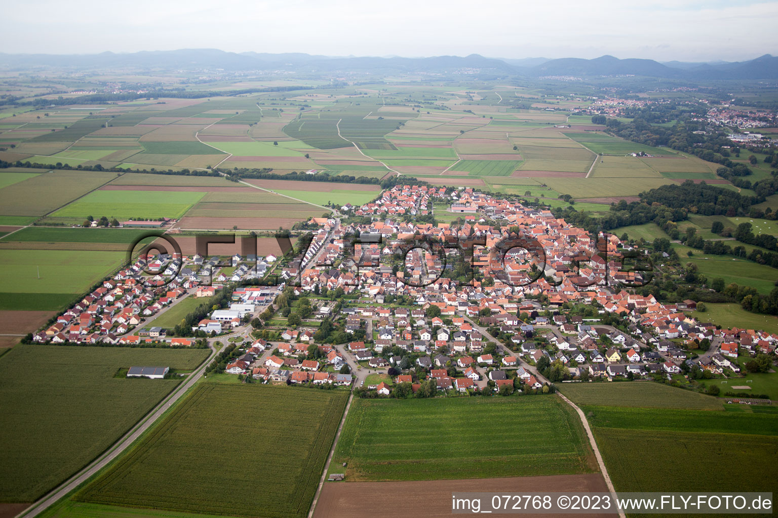 Steinweiler im Bundesland Rheinland-Pfalz, Deutschland von oben gesehen
