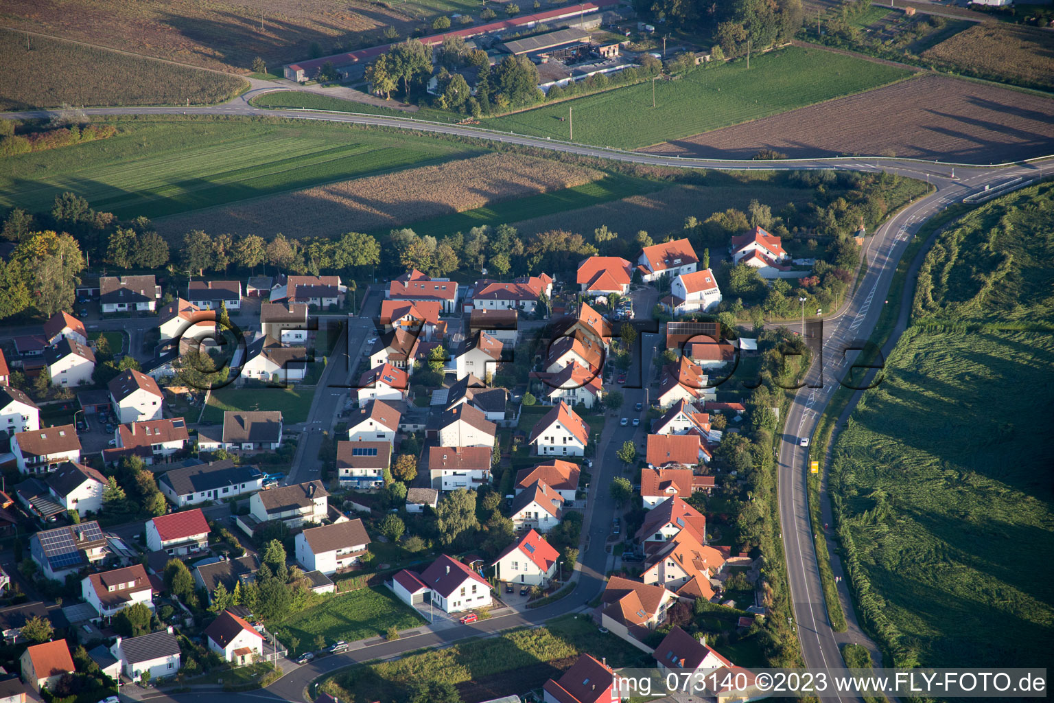 Hardtwald im Bundesland Rheinland-Pfalz, Deutschland aus der Luft betrachtet