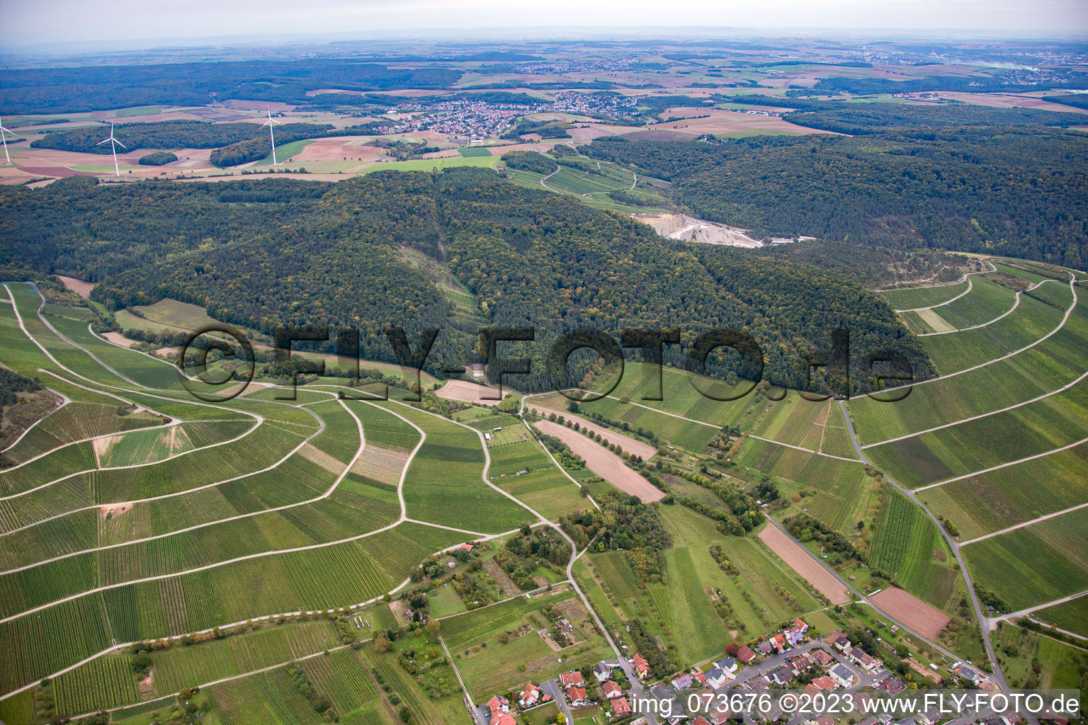 Luftbild von Thüngersheim im Bundesland Bayern, Deutschland