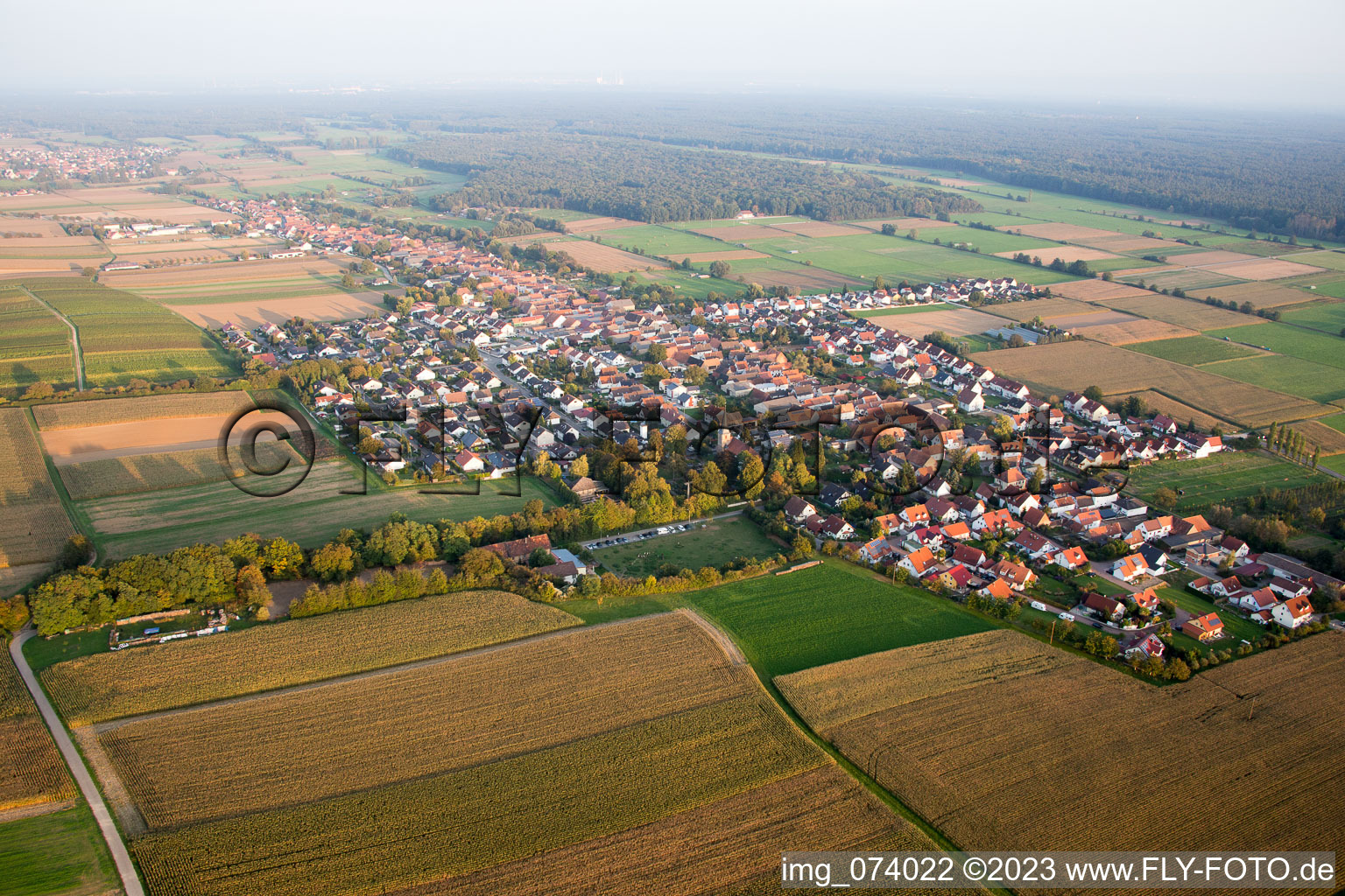 Freckenfeld im Bundesland Rheinland-Pfalz, Deutschland von oben