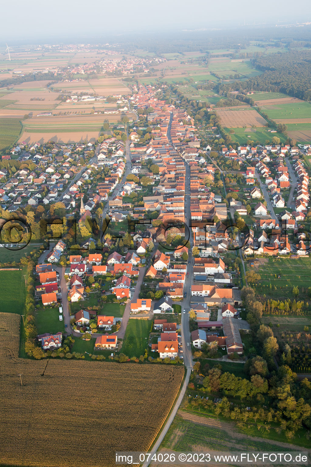 Freckenfeld im Bundesland Rheinland-Pfalz, Deutschland von oben gesehen