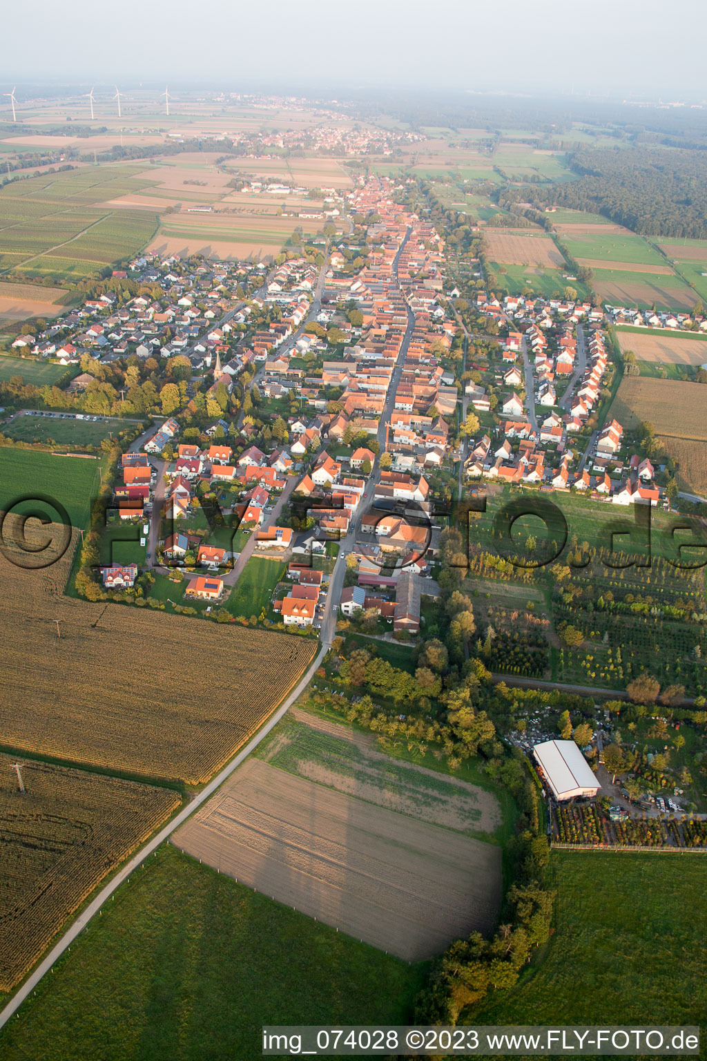 Freckenfeld im Bundesland Rheinland-Pfalz, Deutschland vom Flugzeug aus