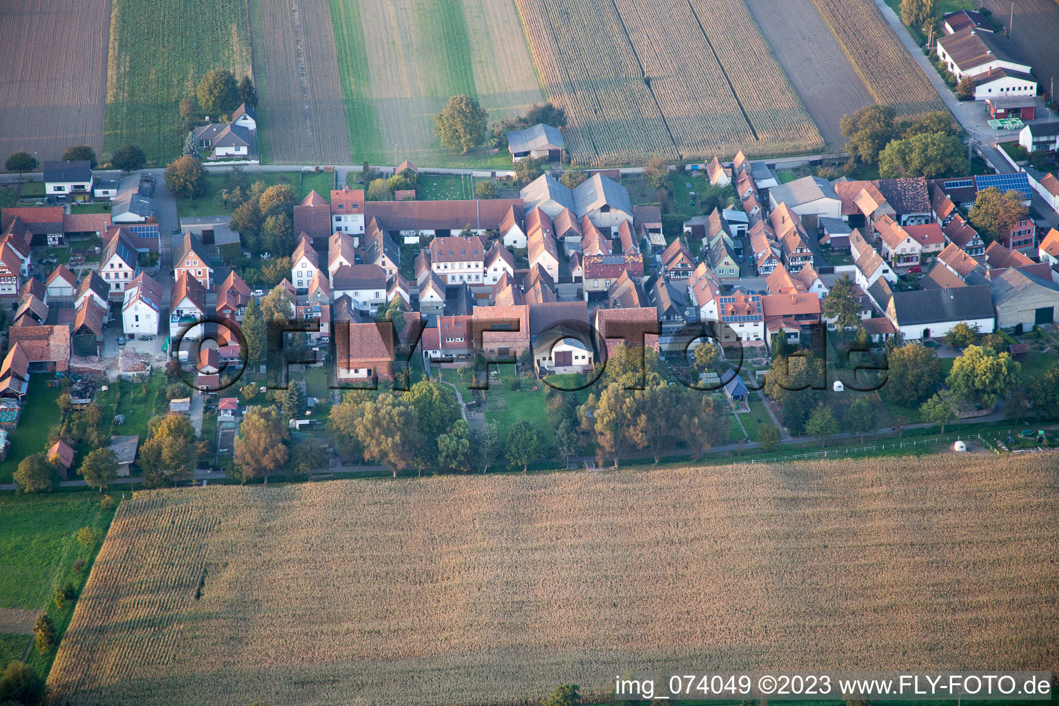Luftbild von Freckenfeld, Gänsried im Bundesland Rheinland-Pfalz, Deutschland