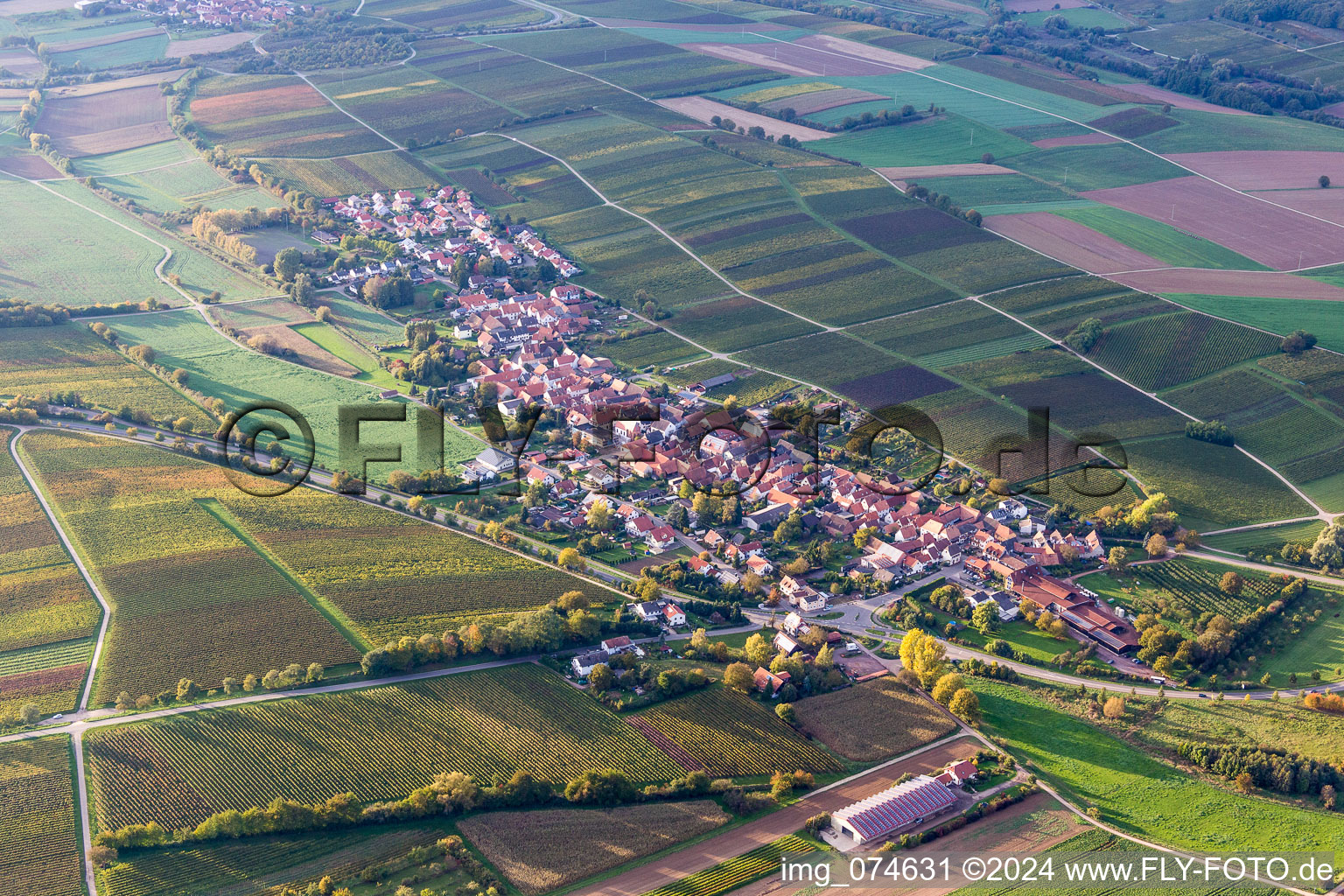 Dorf - Ansicht am Rande von landwirtschaftlichen Feldern und Nutzflächen in Niederhorbach im Bundesland Rheinland-Pfalz, Deutschland