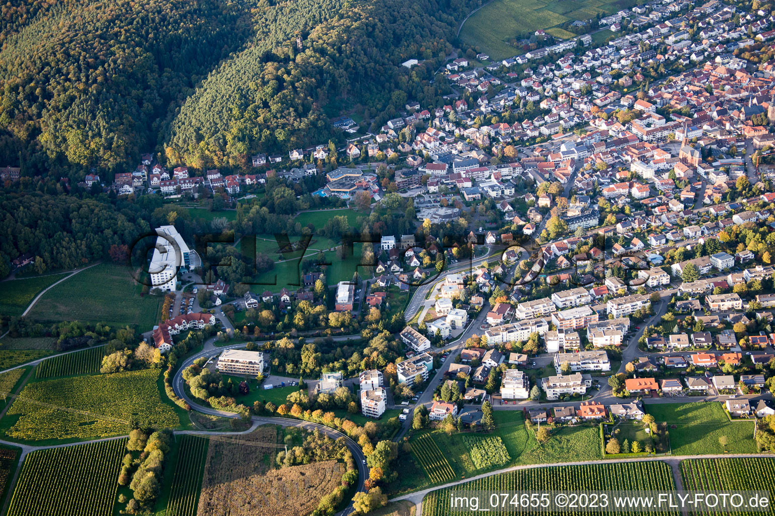 Bad Bergzabern im Bundesland Rheinland-Pfalz, Deutschland aus der Luft