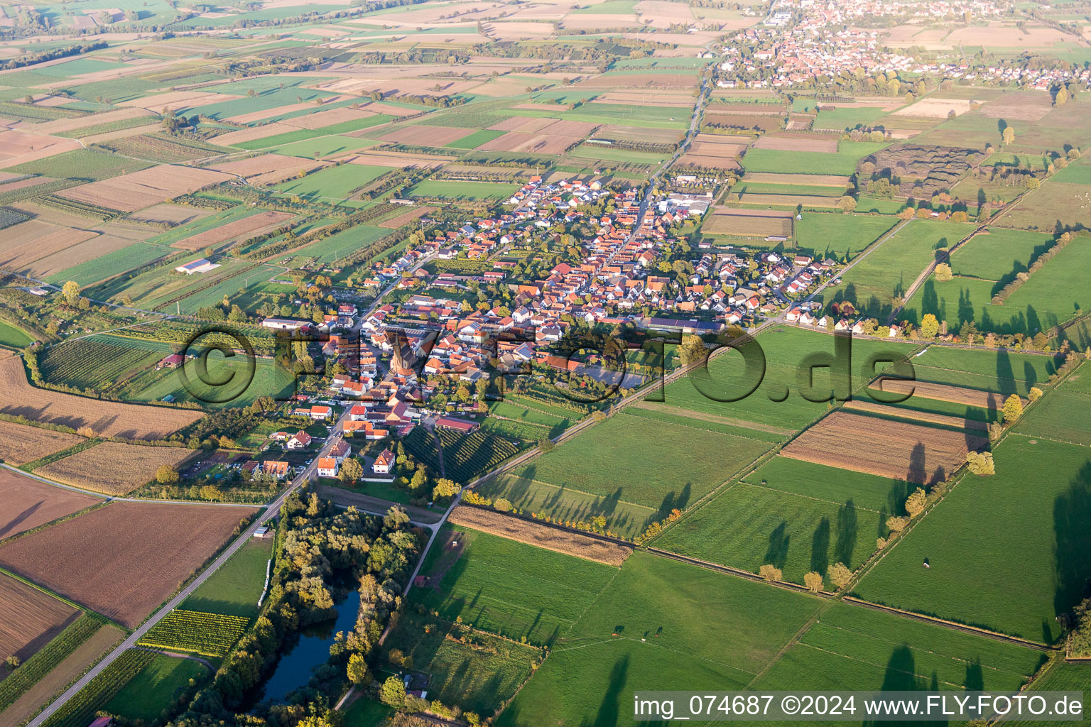 Dorf - Ansicht am Rande von landwirtschaftlichen Feldern und Nutzflächen in Schweighofen im Bundesland Rheinland-Pfalz, Deutschland