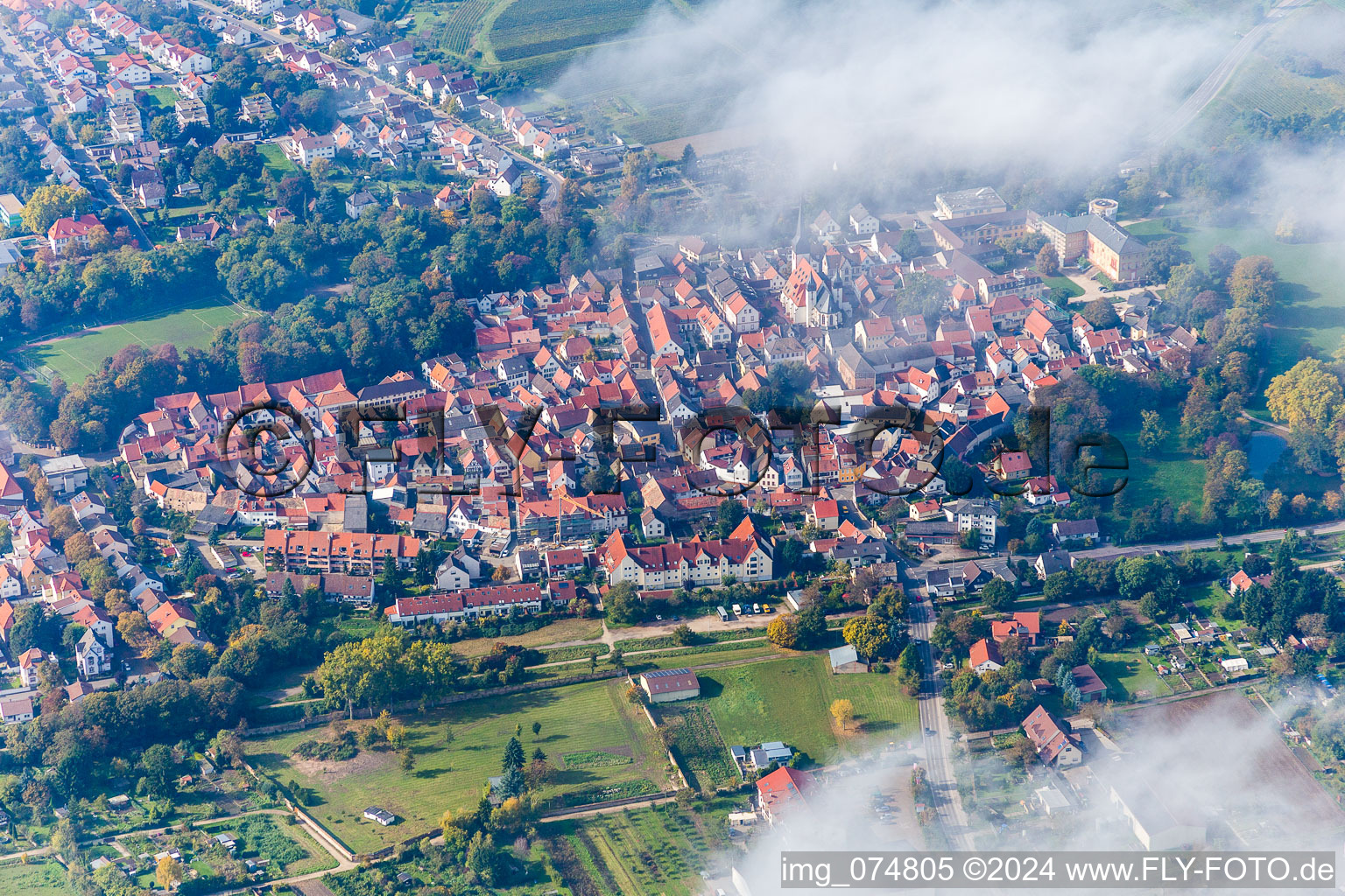 Dorf - Ansicht in Herrnsheim in Worms im Bundesland Rheinland-Pfalz, Deutschland
