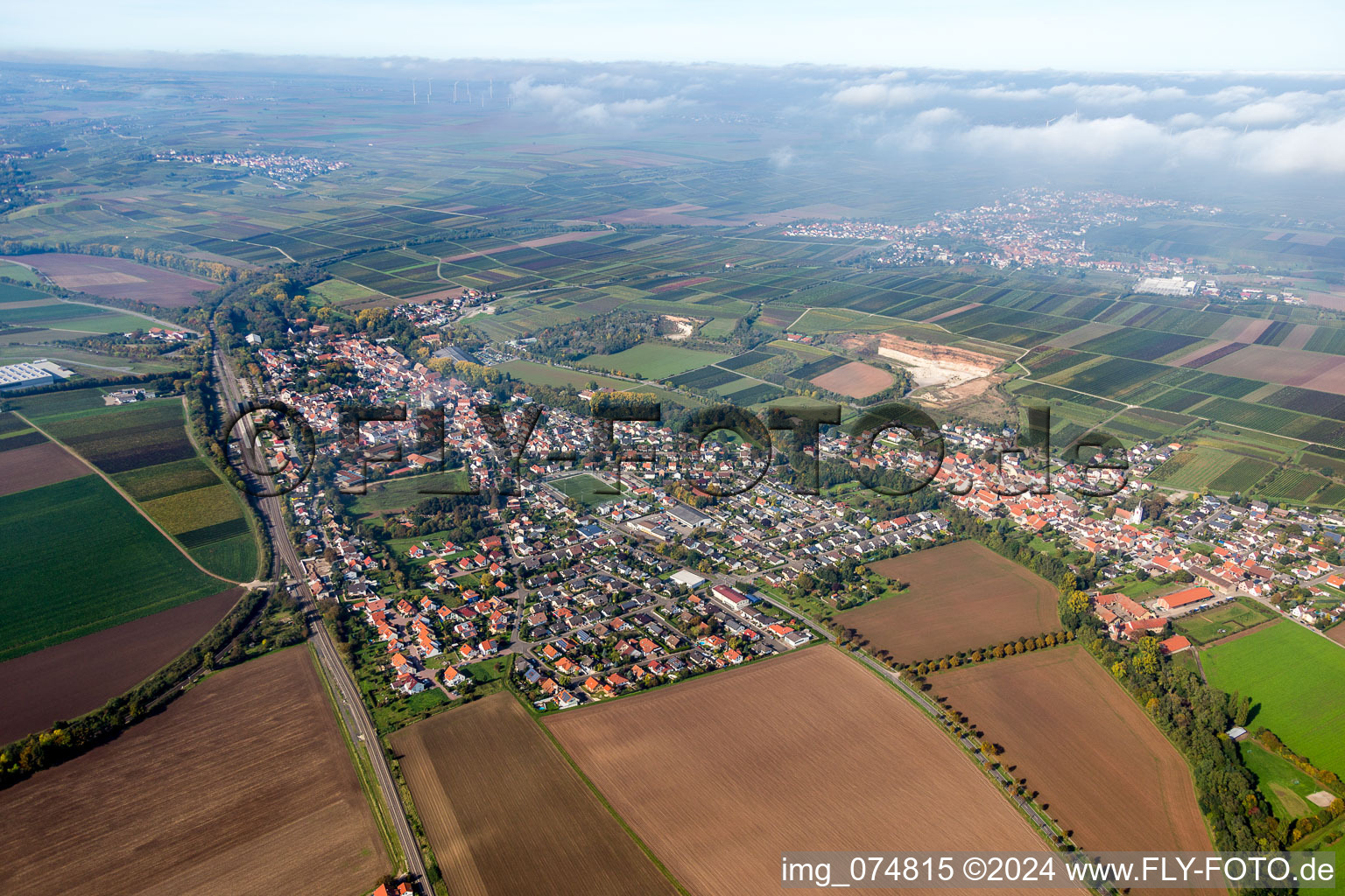 Dorf - Ansicht am Rande von landwirtschaftlichen Feldern und Nutzflächen in Monsheim im Bundesland Rheinland-Pfalz, Deutschland