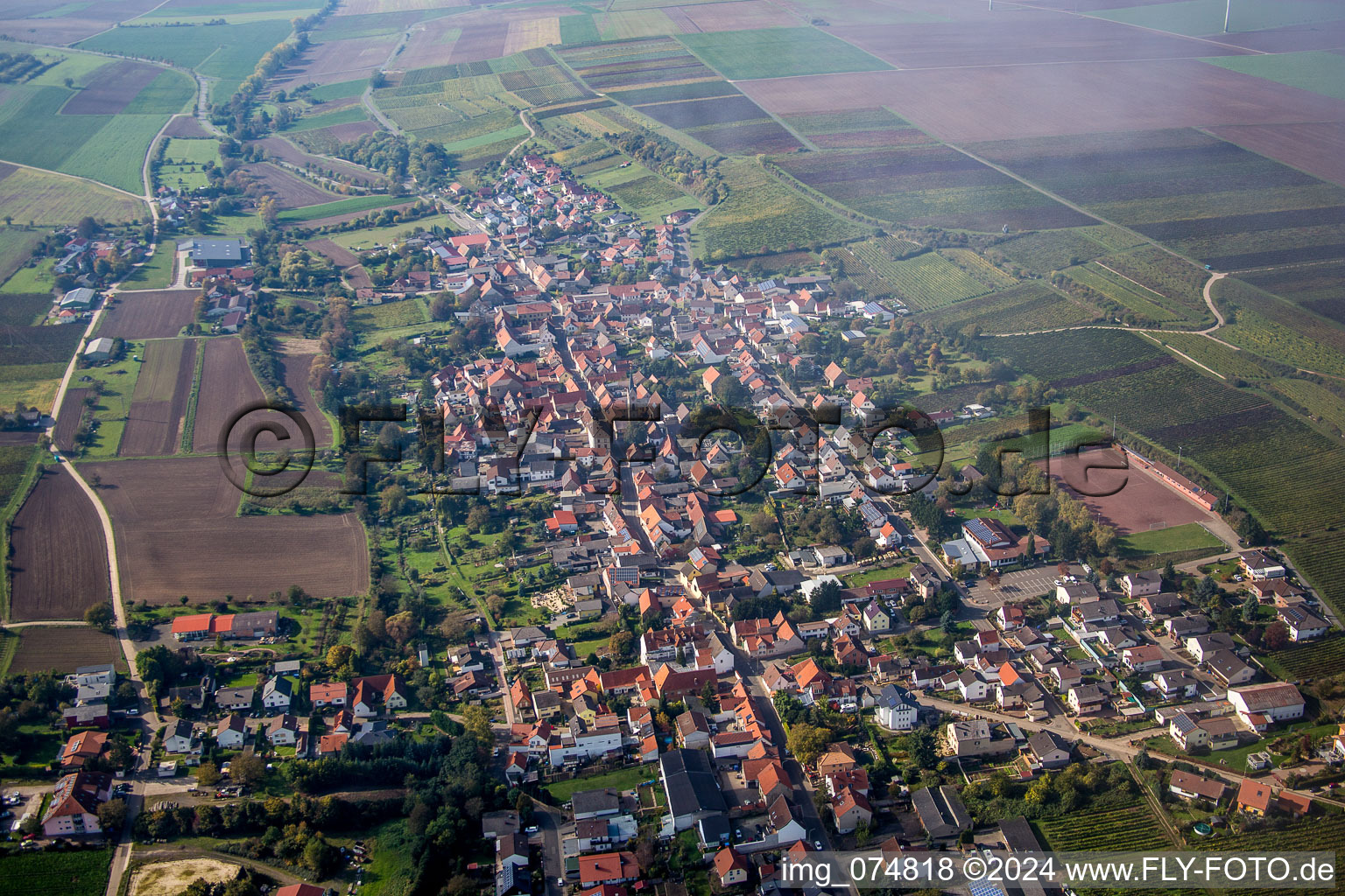 Dorf - Ansicht am Rande von landwirtschaftlichen Feldern und Nutzflächen in Kindenheim im Bundesland Rheinland-Pfalz, Deutschland