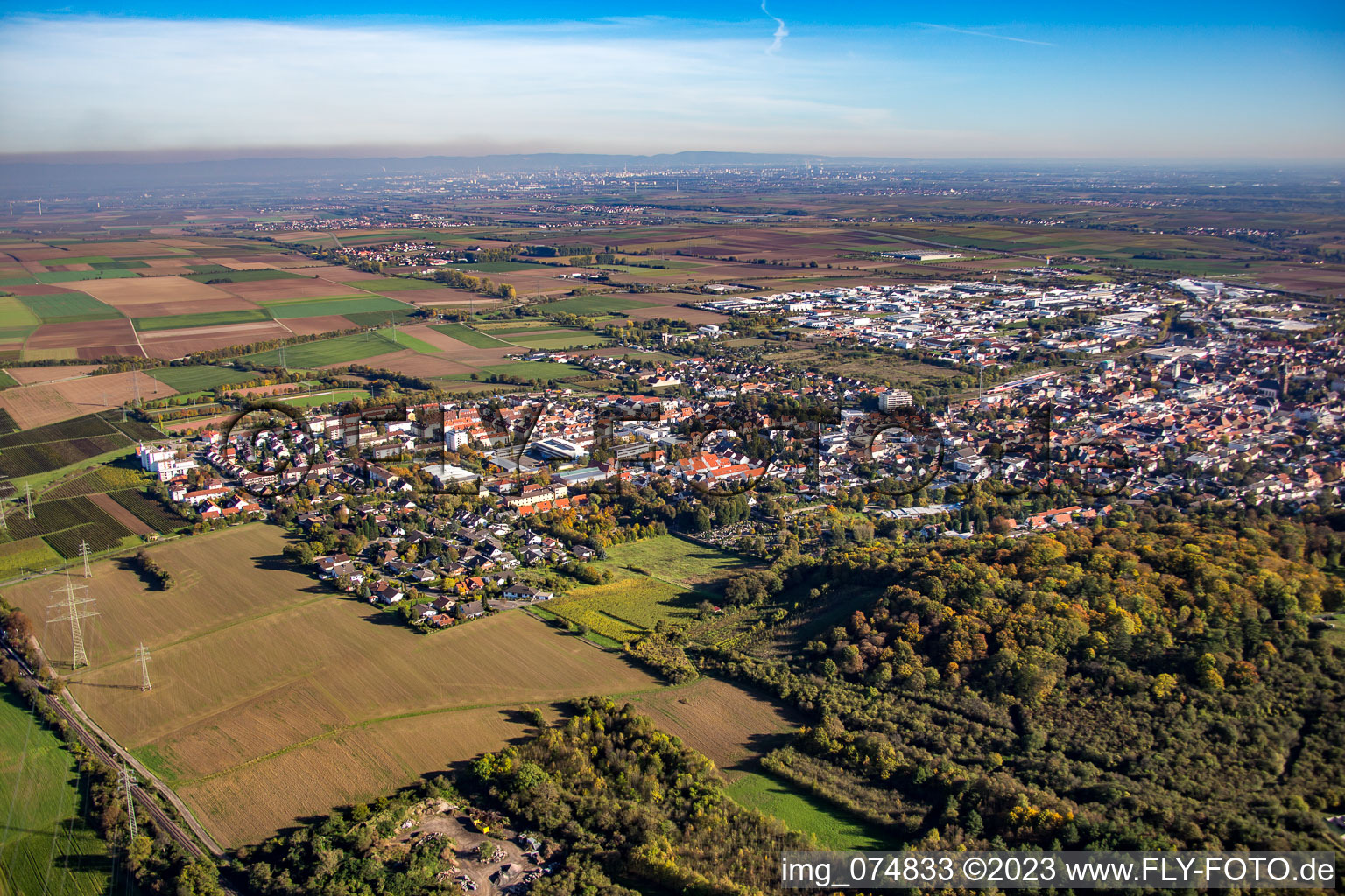 Von Nordwesten in Grünstadt im Bundesland Rheinland-Pfalz, Deutschland