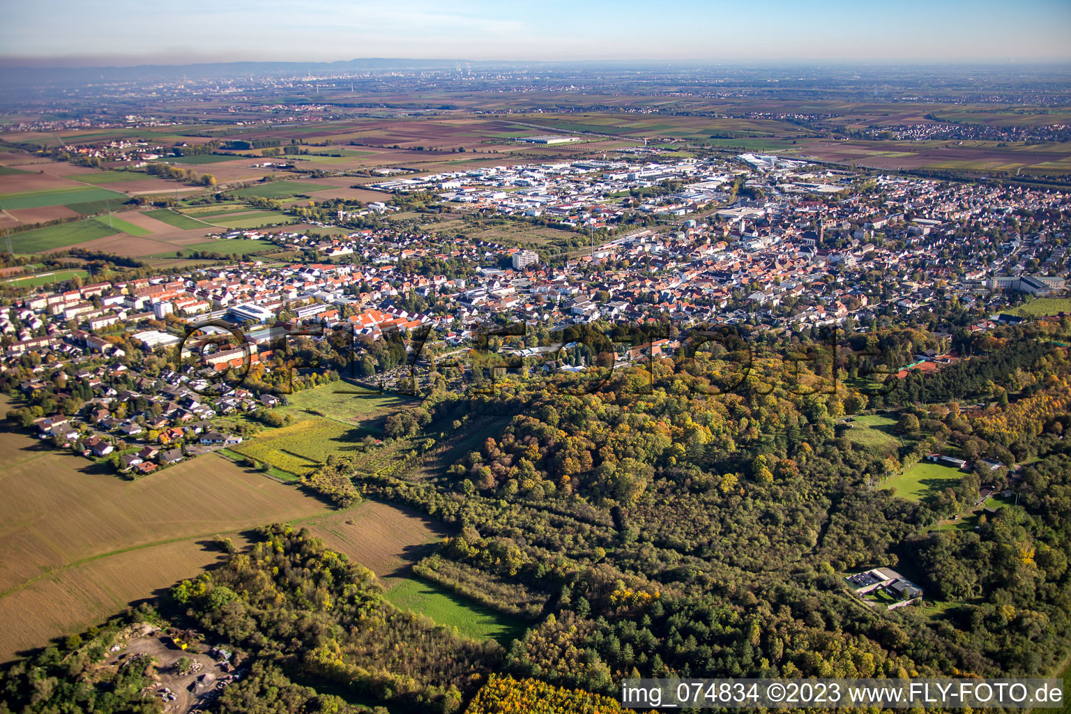 Luftbild von Von Nordwesten in Grünstadt im Bundesland Rheinland-Pfalz, Deutschland