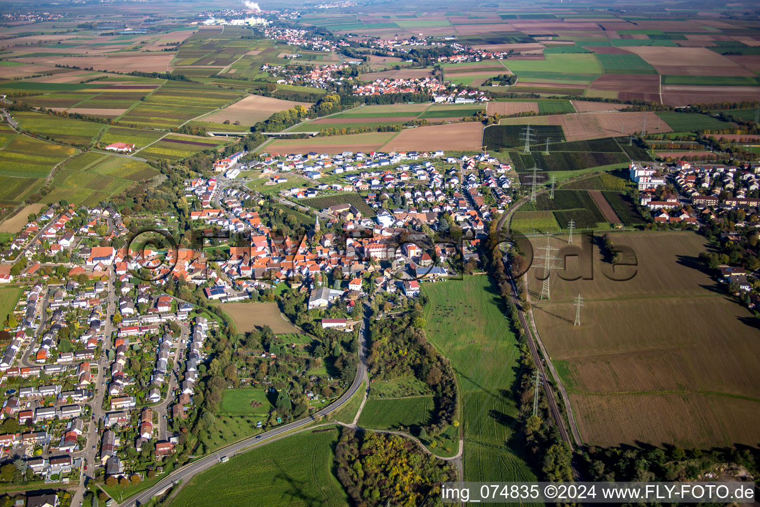 Ortsansicht der Straßen und Häuser der Wohngebiete im Ortsteil Asselheim in Grünstadt im Bundesland Rheinland-Pfalz, Deutschland