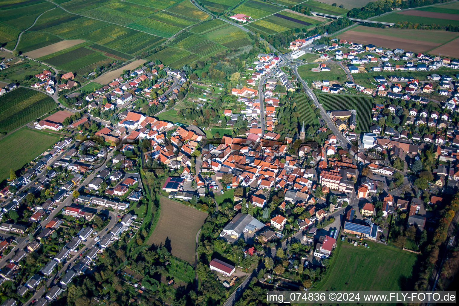 Luftbild von Ortsansicht der Straßen und Häuser der Wohngebiete im Ortsteil Asselheim in Grünstadt im Bundesland Rheinland-Pfalz, Deutschland