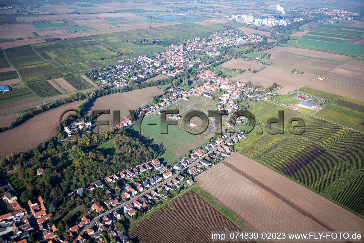 Luftbild von Heidesheim im Bundesland Rheinland-Pfalz, Deutschland