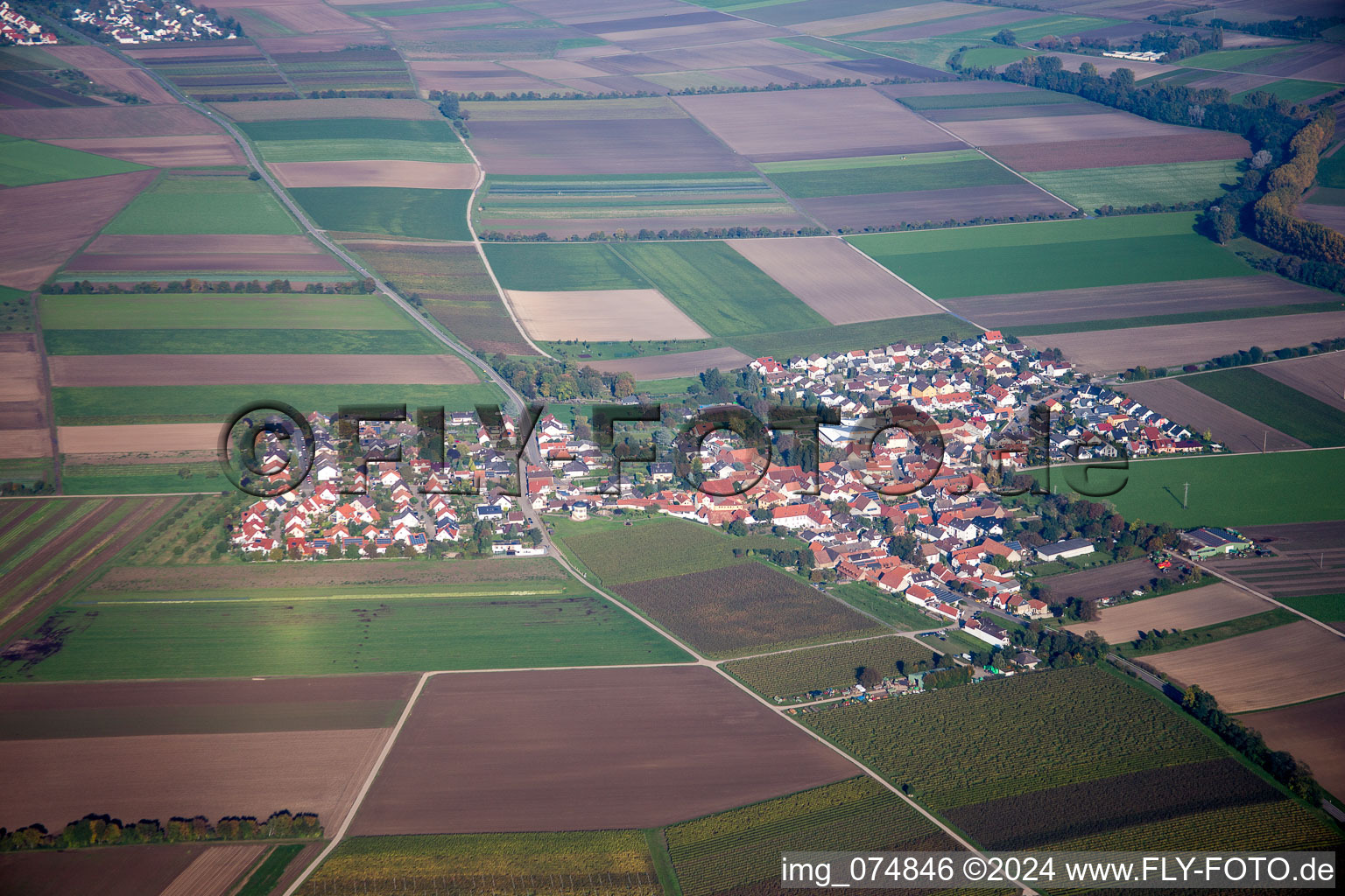 Dorf - Ansicht am Rande von landwirtschaftlichen Feldern und Nutzflächen in Kleinniedesheim im Bundesland Rheinland-Pfalz, Deutschland