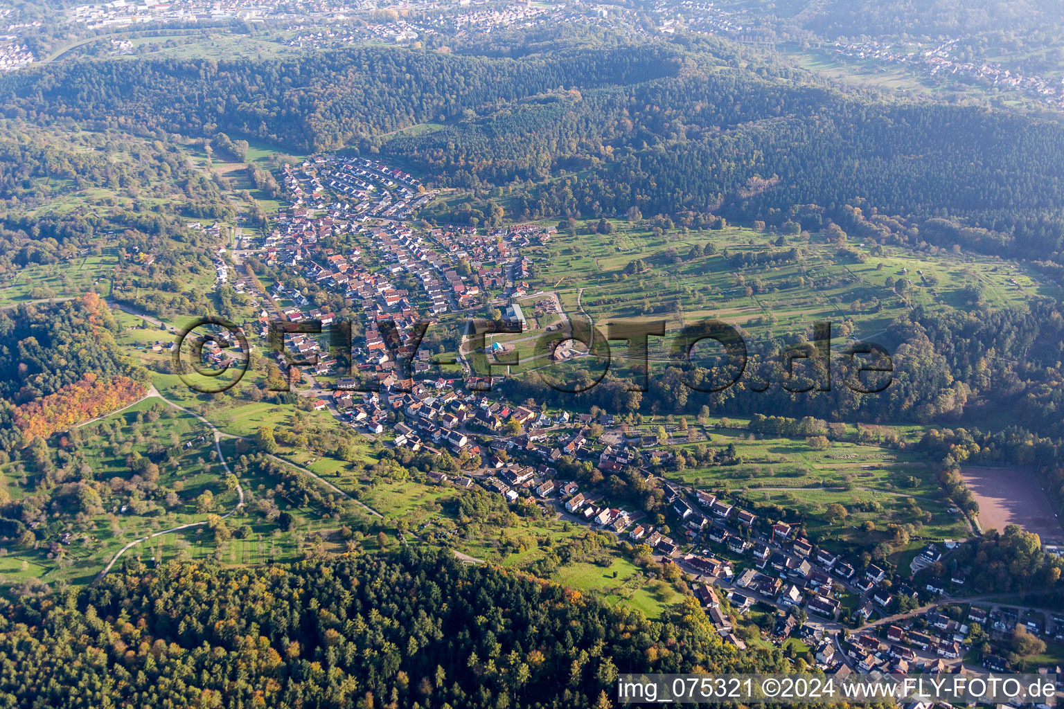 Dorf - Ansicht am Rande von landwirtschaftlichen Feldern und Nutzflächen in Selbach im Bundesland Baden-Württemberg, Deutschland