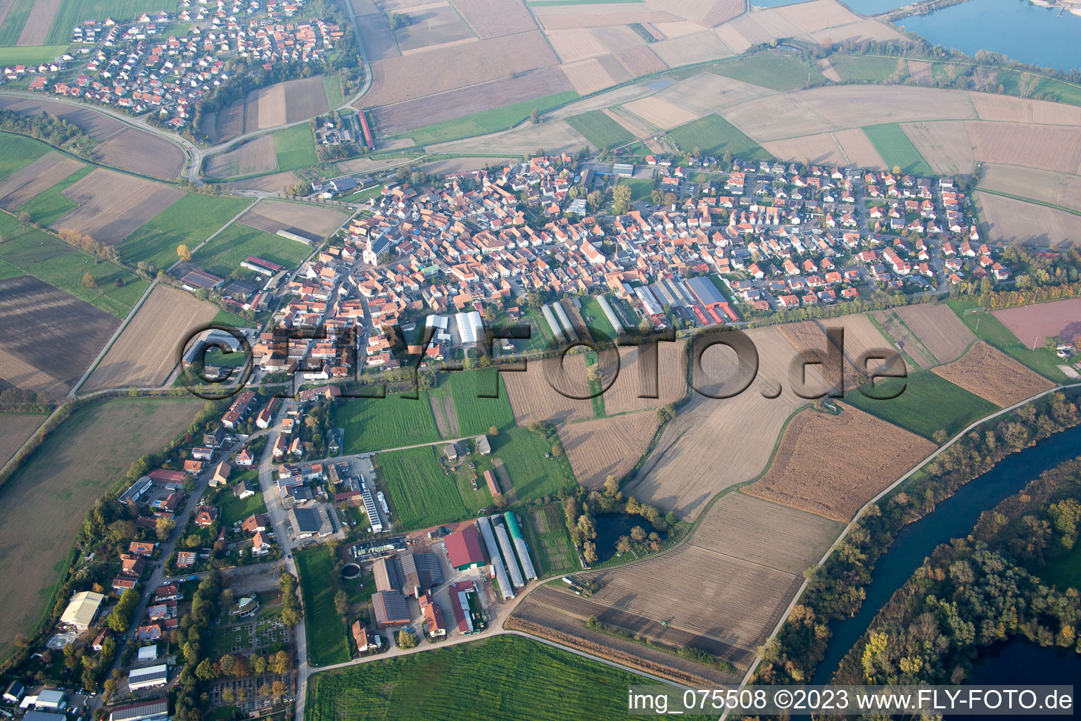 Neupotz im Bundesland Rheinland-Pfalz, Deutschland aus der Luft