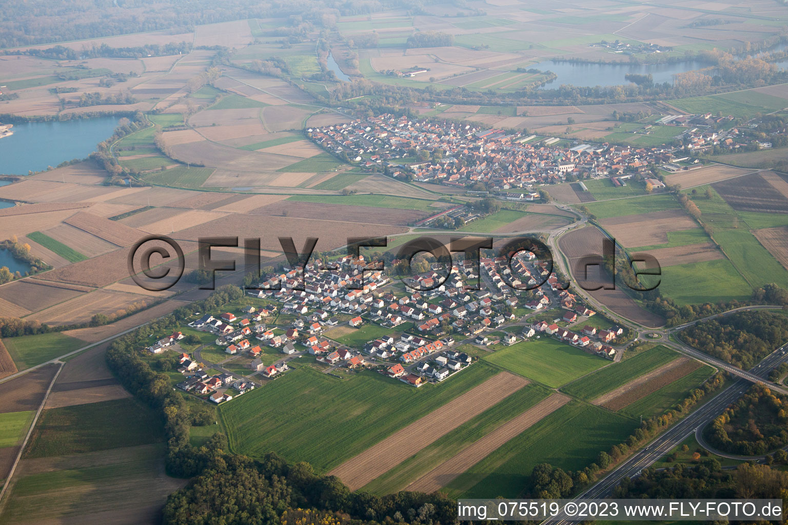 Hardtwald im Bundesland Rheinland-Pfalz, Deutschland von einer Drohne aus