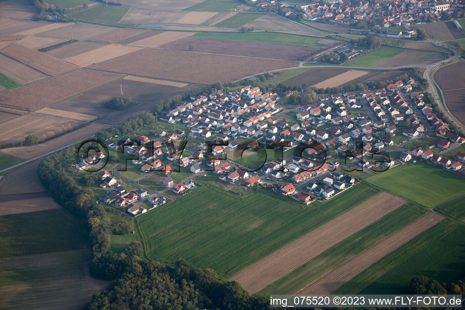 Hardtwald im Bundesland Rheinland-Pfalz, Deutschland von der Drohne aus gesehen