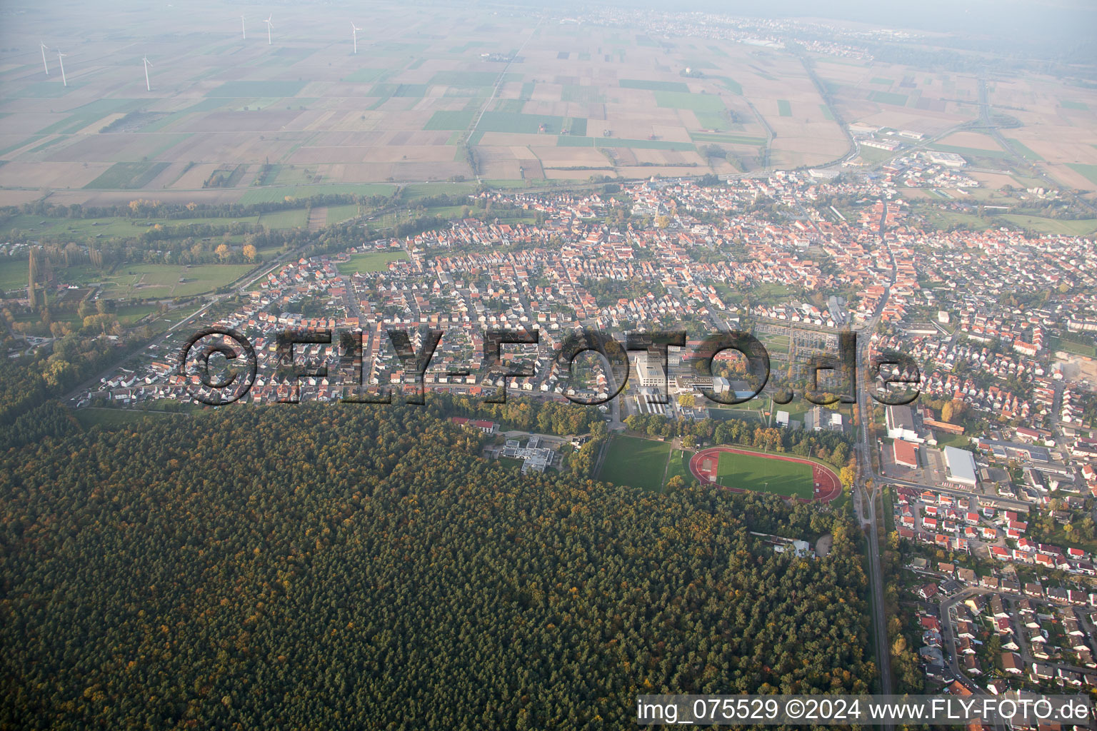 Sportplätze und Helle Eichen am Waldrand in Rülzheim im Bundesland Rheinland-Pfalz, Deutschland