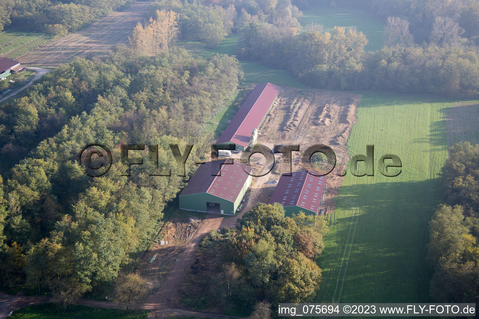 Luftbild von Schaffhouse-près-Seltz im Bundesland Bas-Rhin, Frankreich