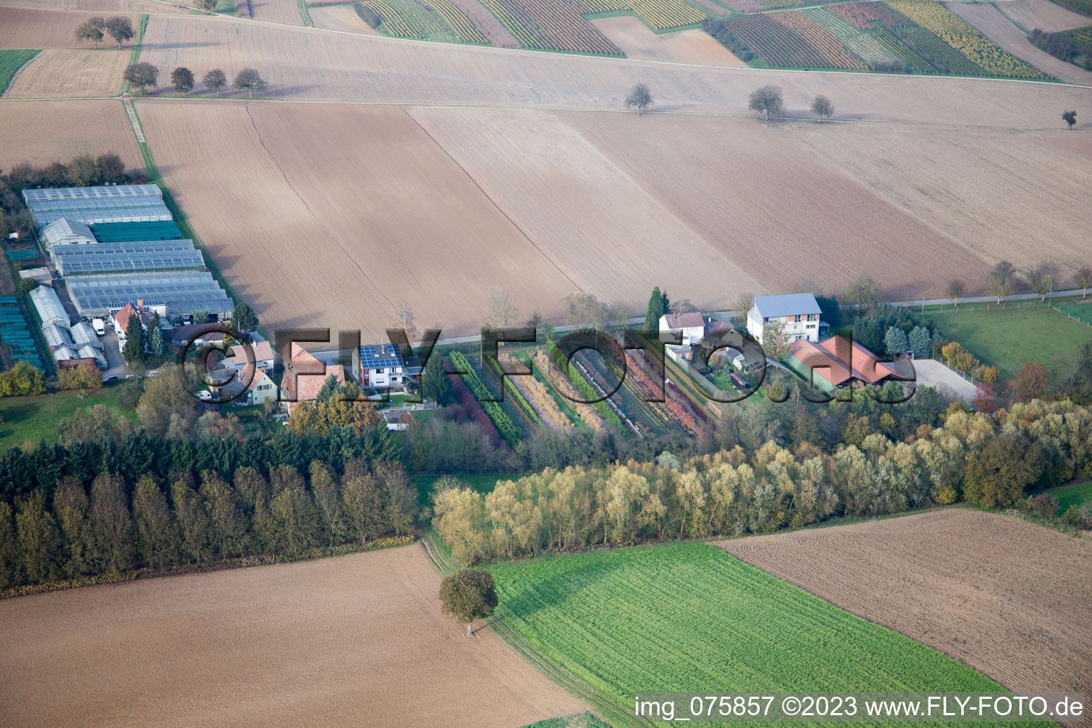 Luftbild von Vollmersweiler, Gärtnerei im Bundesland Rheinland-Pfalz, Deutschland