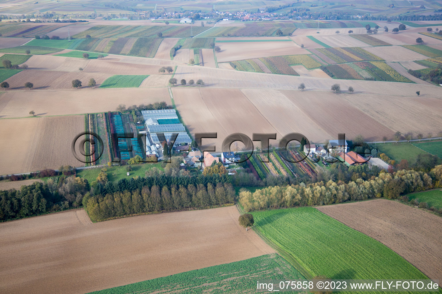 Luftaufnahme von Vollmersweiler, Gärtnerei im Bundesland Rheinland-Pfalz, Deutschland