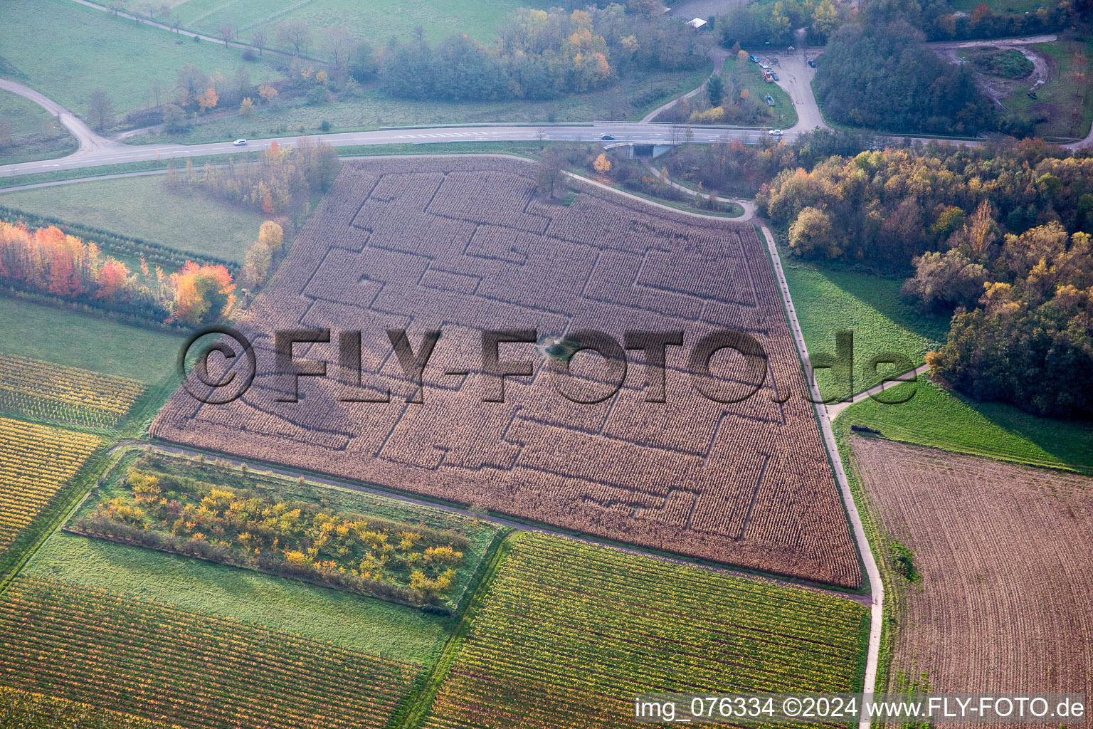 Irrgarten - Maisfeld-Labyrinth auf einem Feld in Göcklingen im Bundesland Rheinland-Pfalz, Deutschland