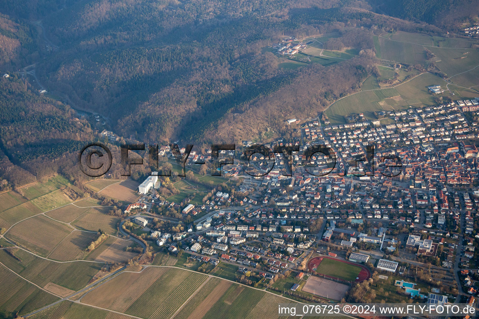 Bad Bergzabern im Bundesland Rheinland-Pfalz, Deutschland von oben gesehen