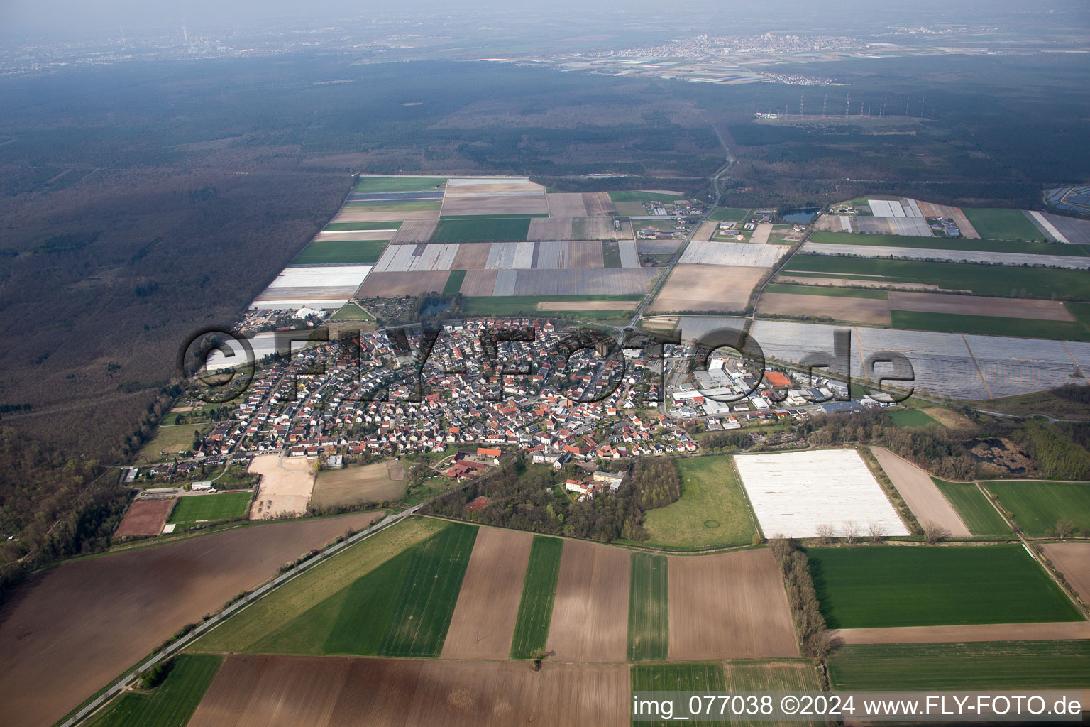 Luftbild von Ortsansicht der Hufeisenförmig angelegten Straßen und Häuser der Wohngebiete im Ortsteil Hüttenfeld in Lampertheim im Bundesland Hessen, Deutschland